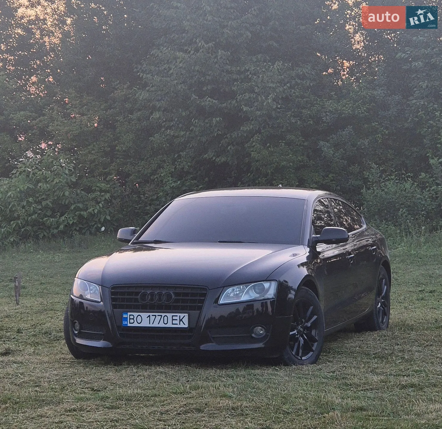 Audi A5, 2011