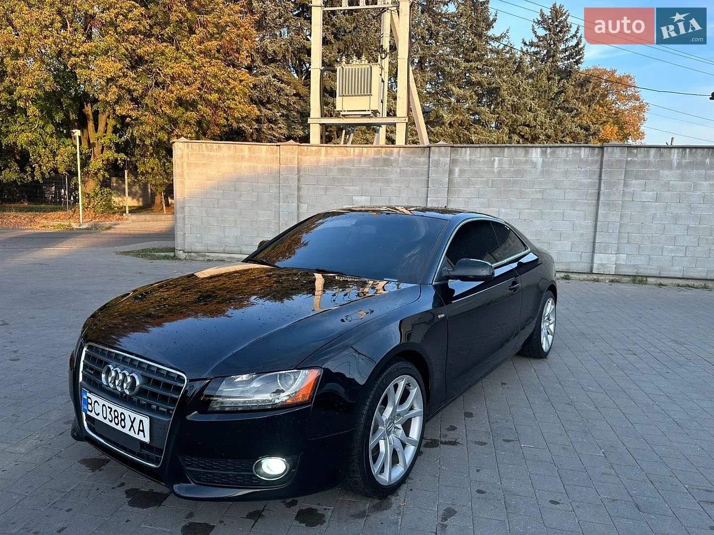 Audi A5, 2010