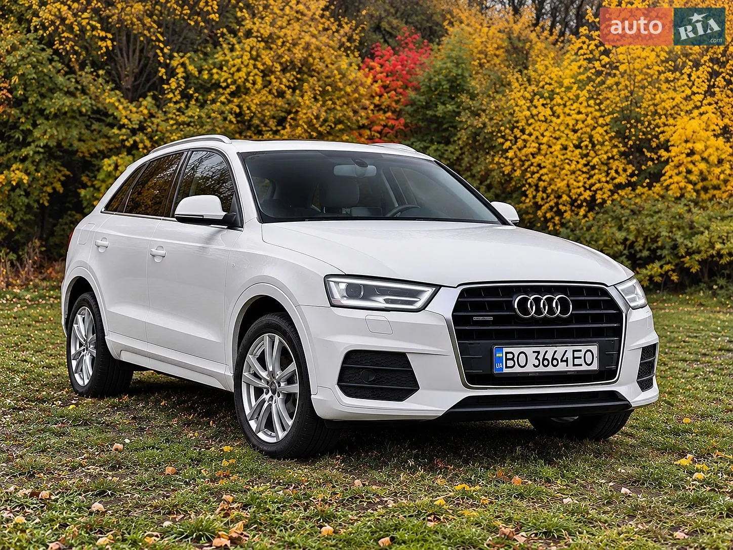 Audi Q3, 2016