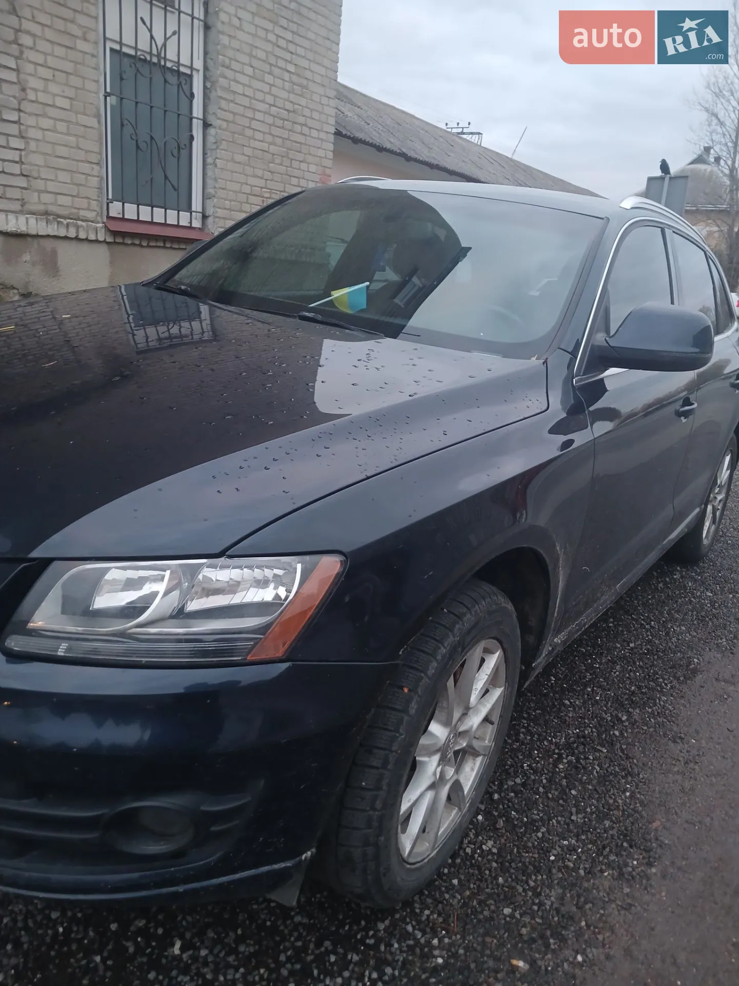 Audi Q5, 2011
