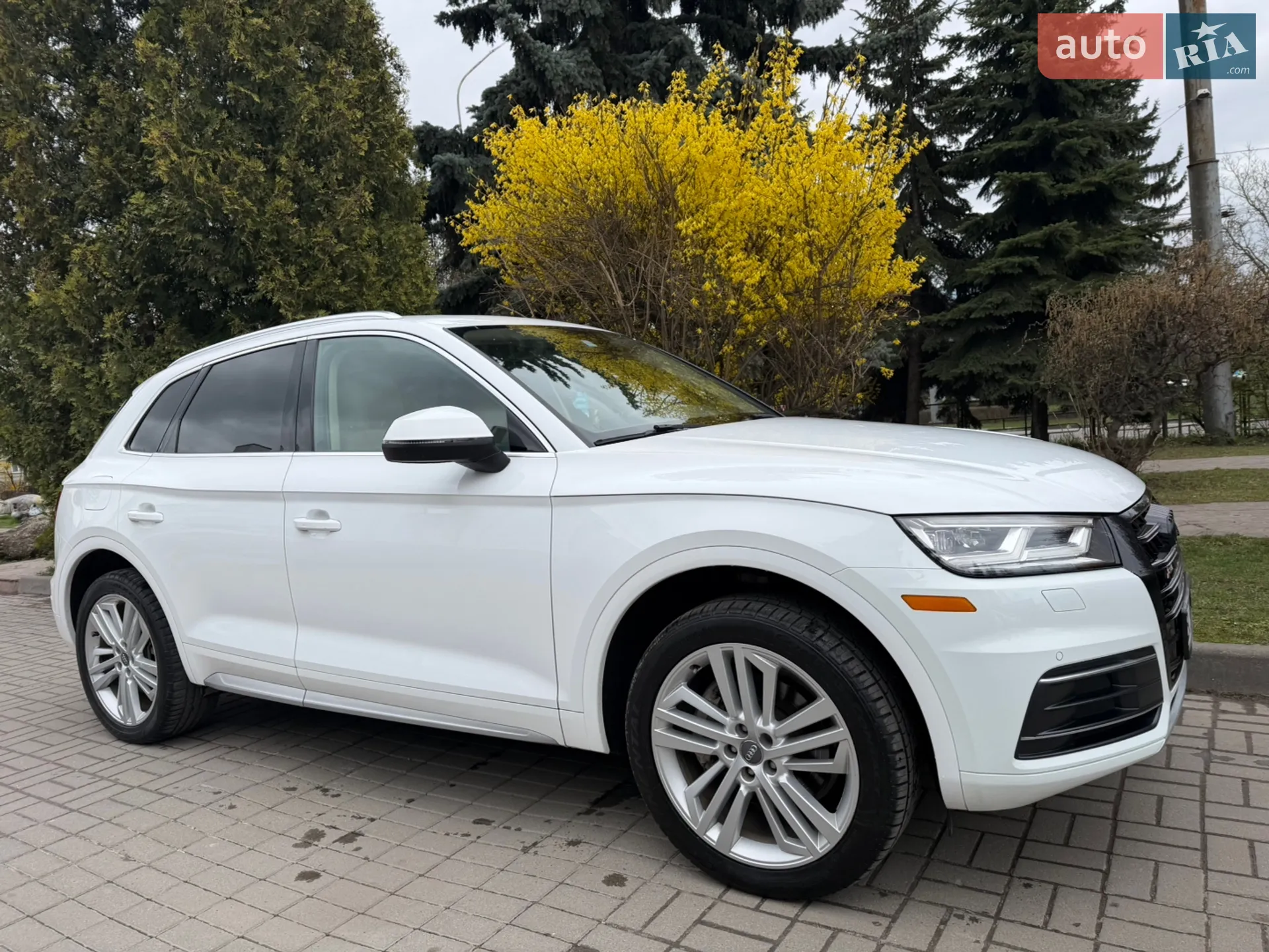 Audi Q5, 2017