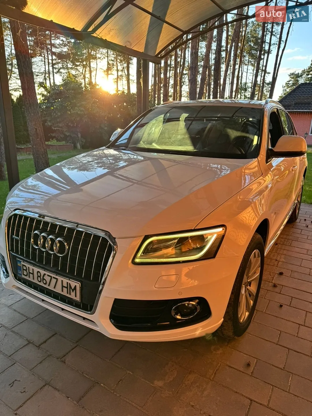 Audi Q5, 2013