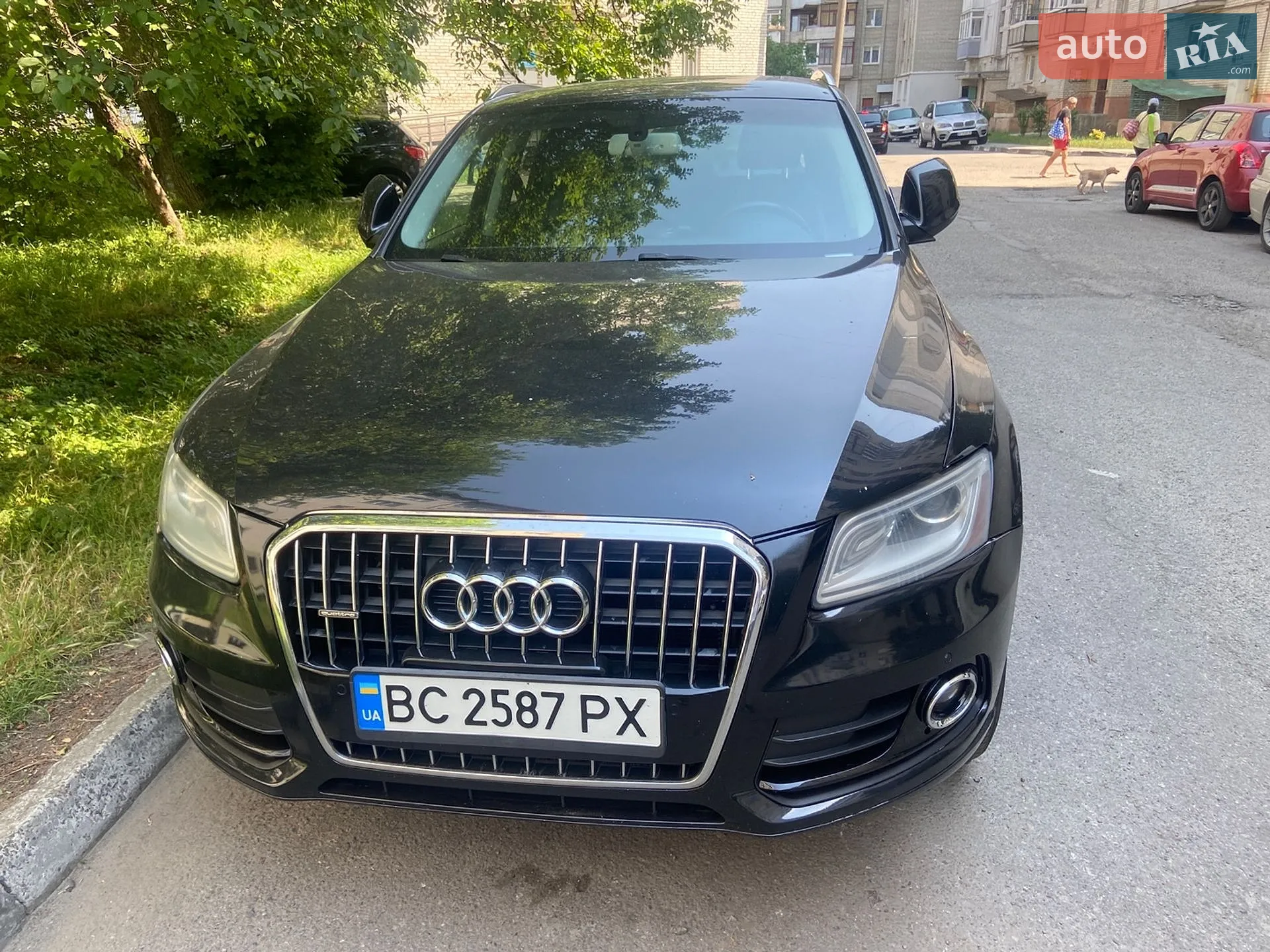 Audi Q5, 2013
