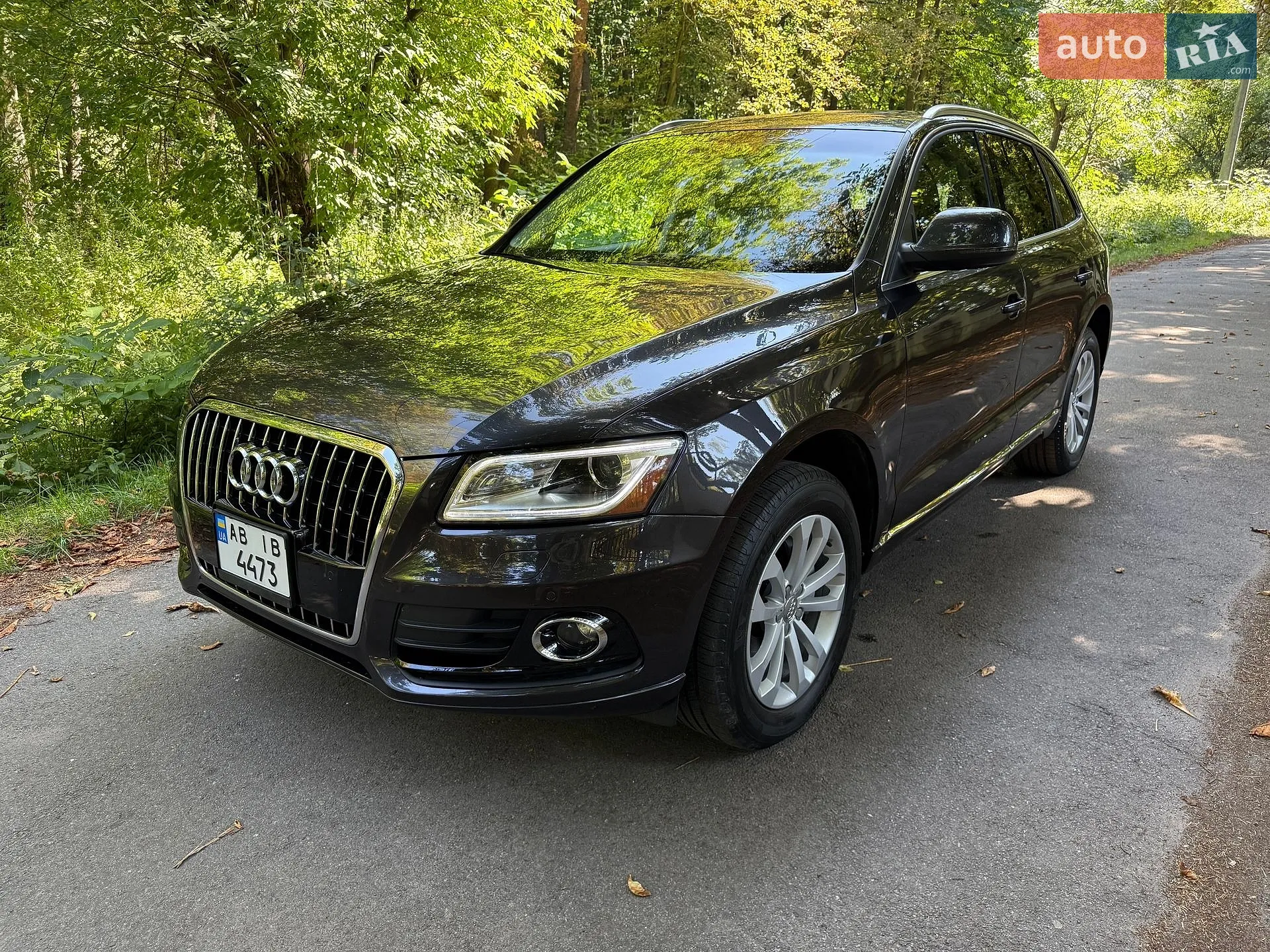 Audi Q5, 2013