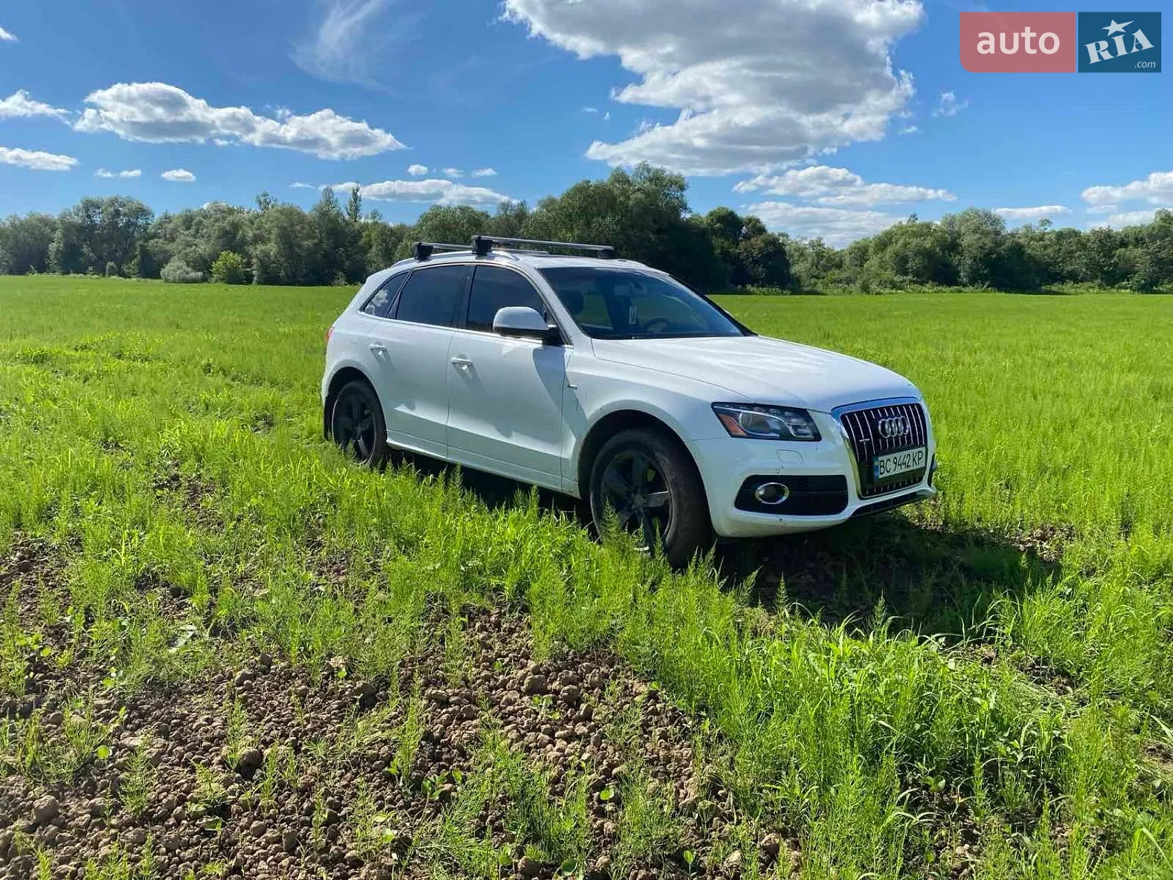 Audi Q5, 2011