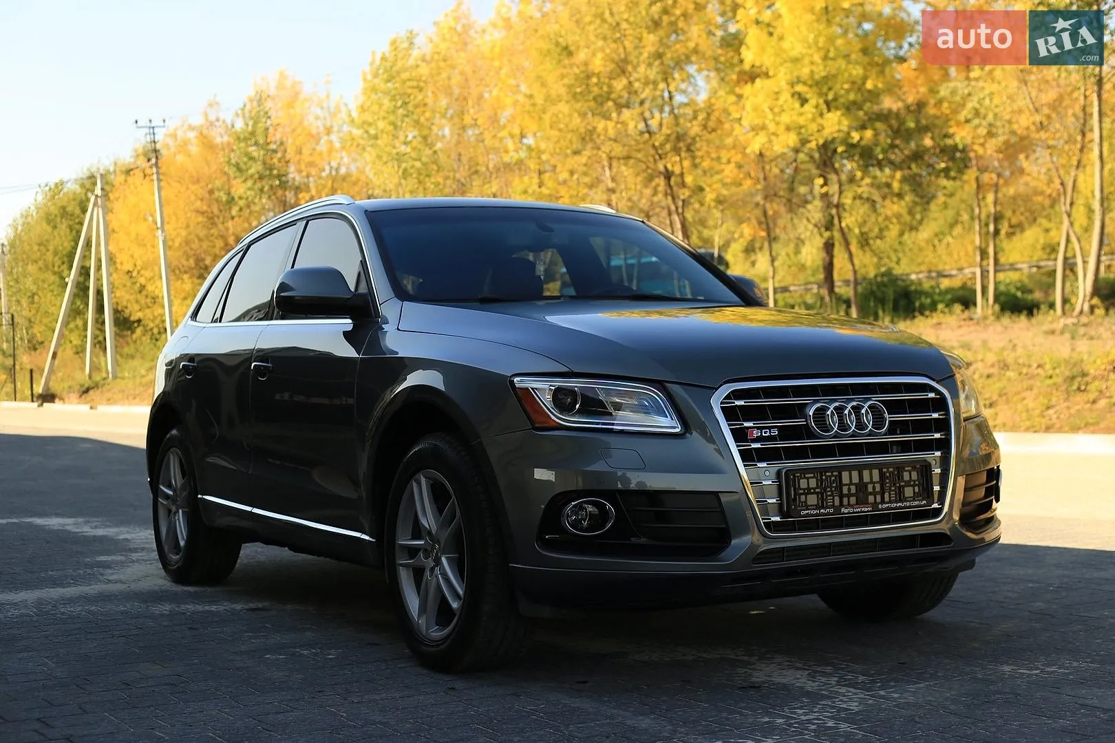 Audi Q5, 2013