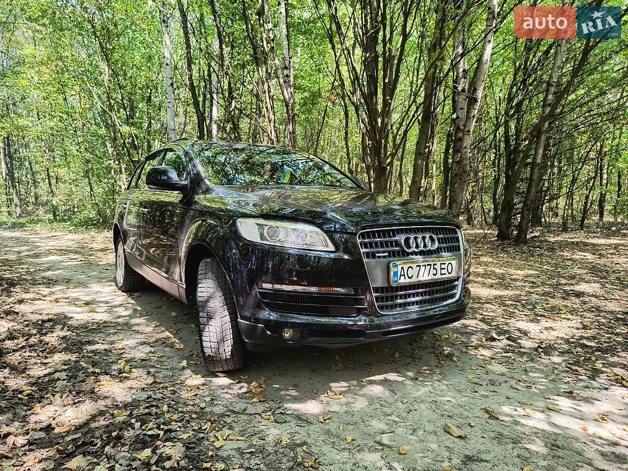 Audi Q7, 2008