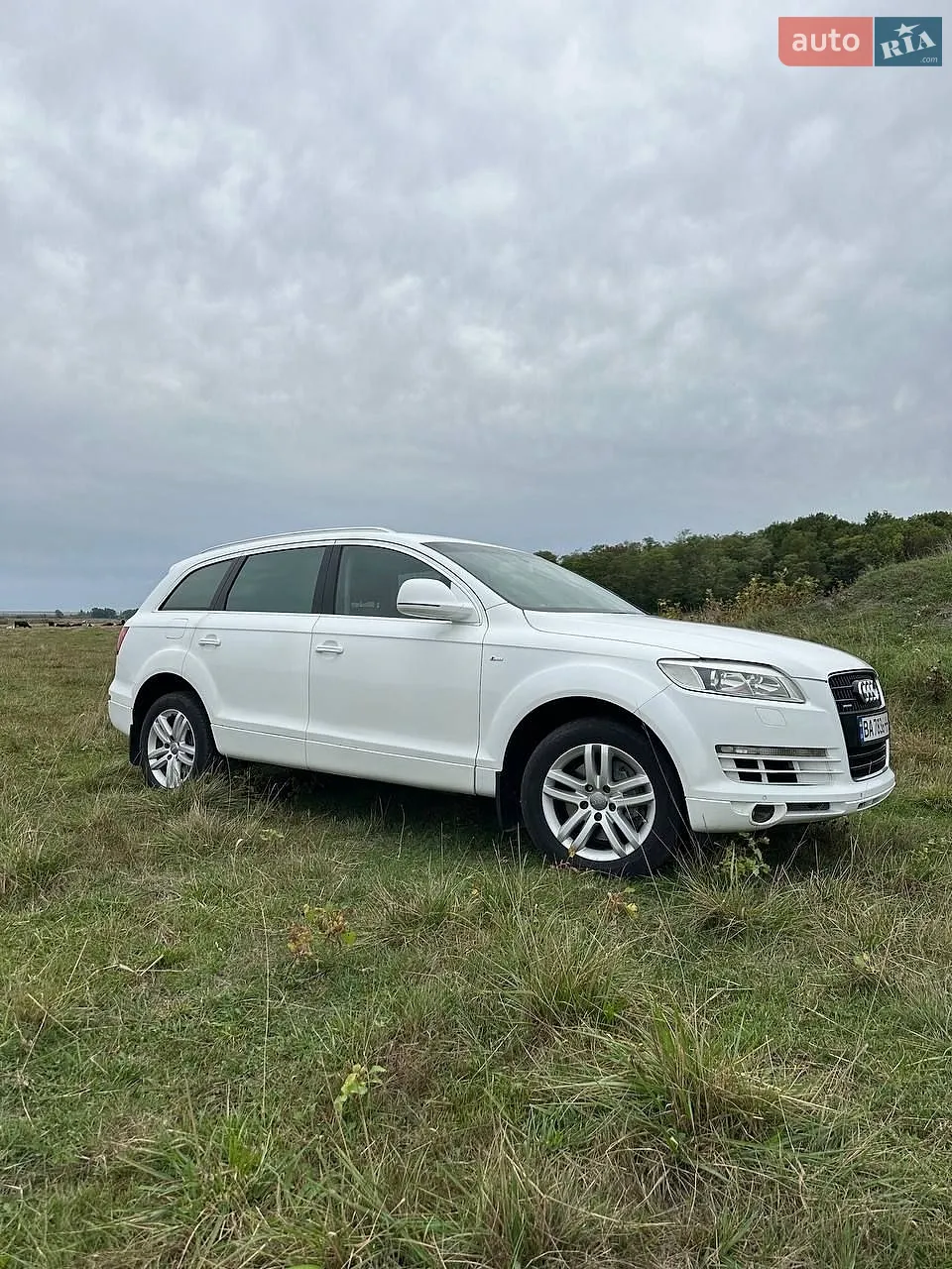 Audi Q7, 2006