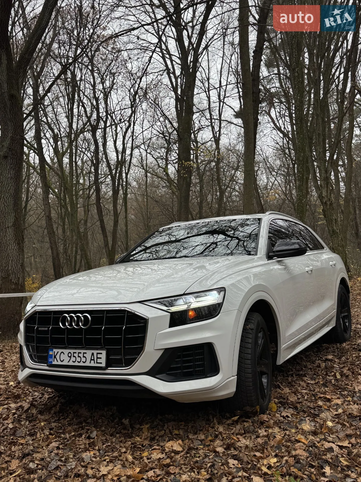 Audi Q8, 2018