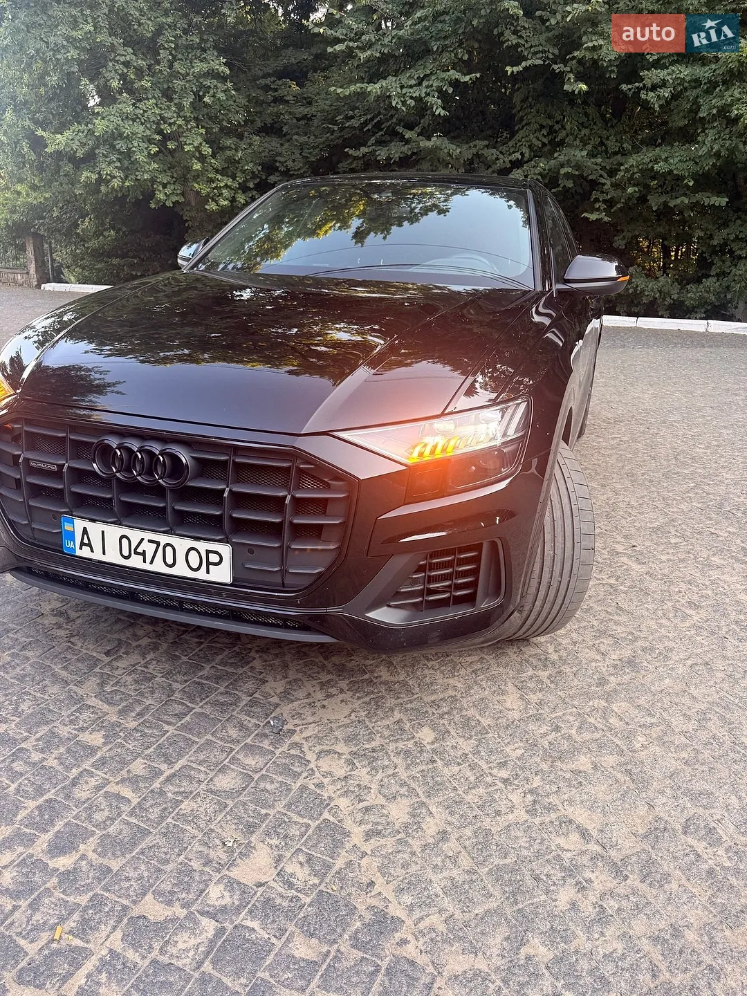 Audi Q8, 2019