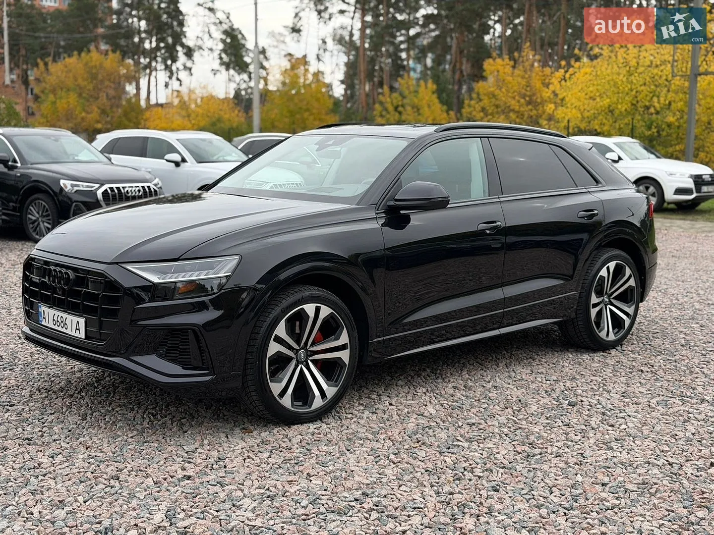 Audi Q8, 2019