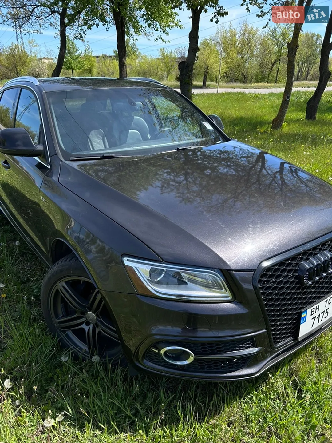 Audi SQ5, 2013