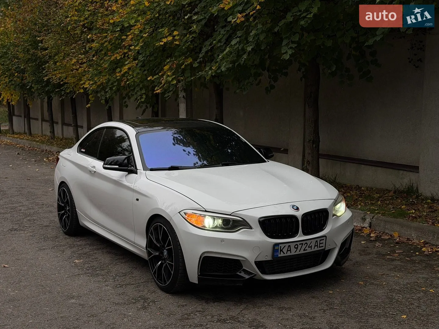 BMW 2 Series, 2014
