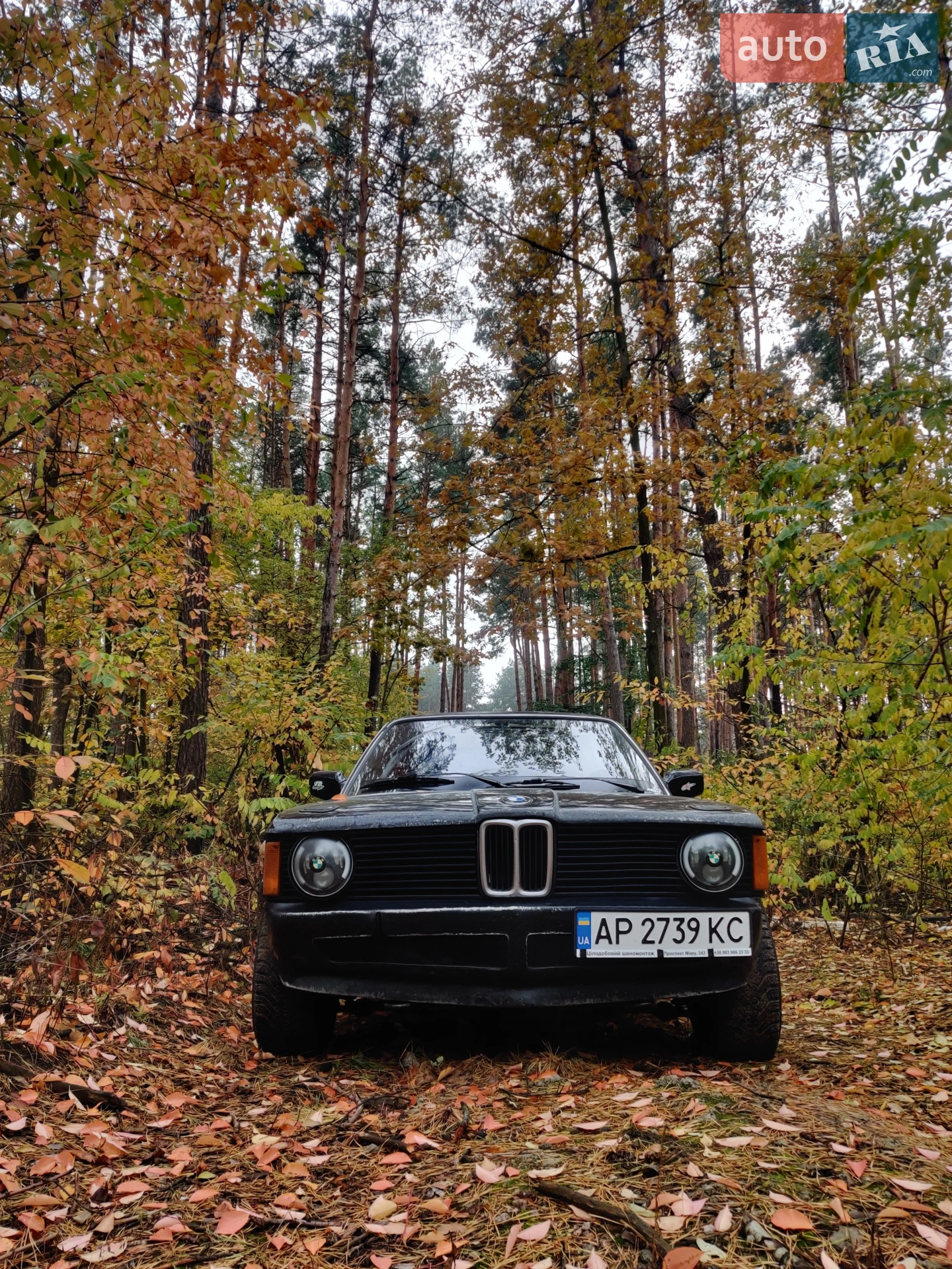 BMW 3 Series, 1980