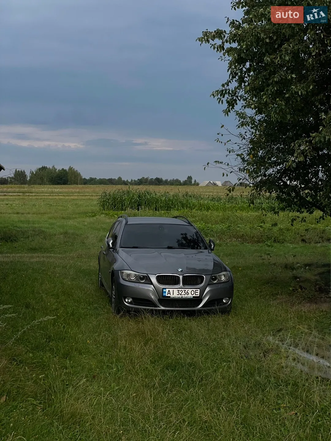 BMW 3 Series, 2010