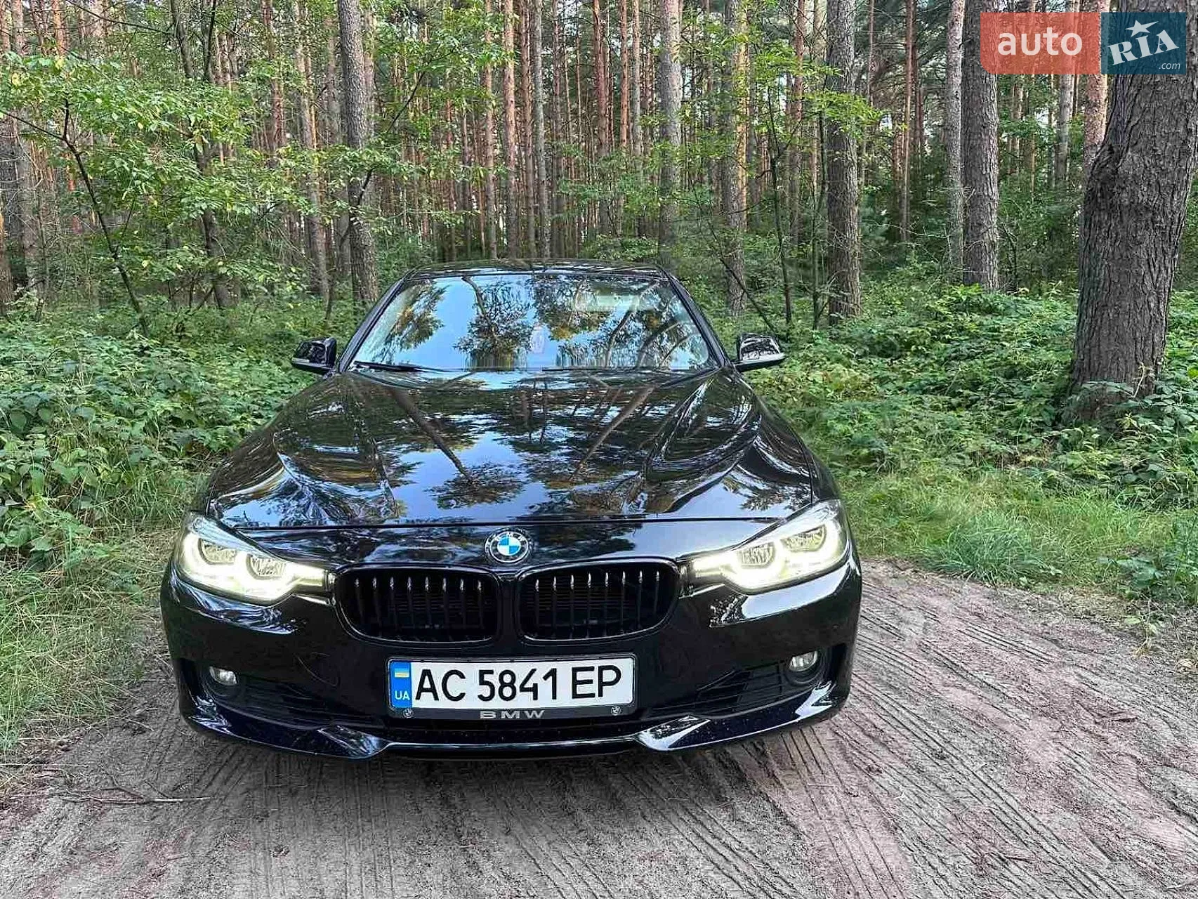 BMW 3 Series, 2013