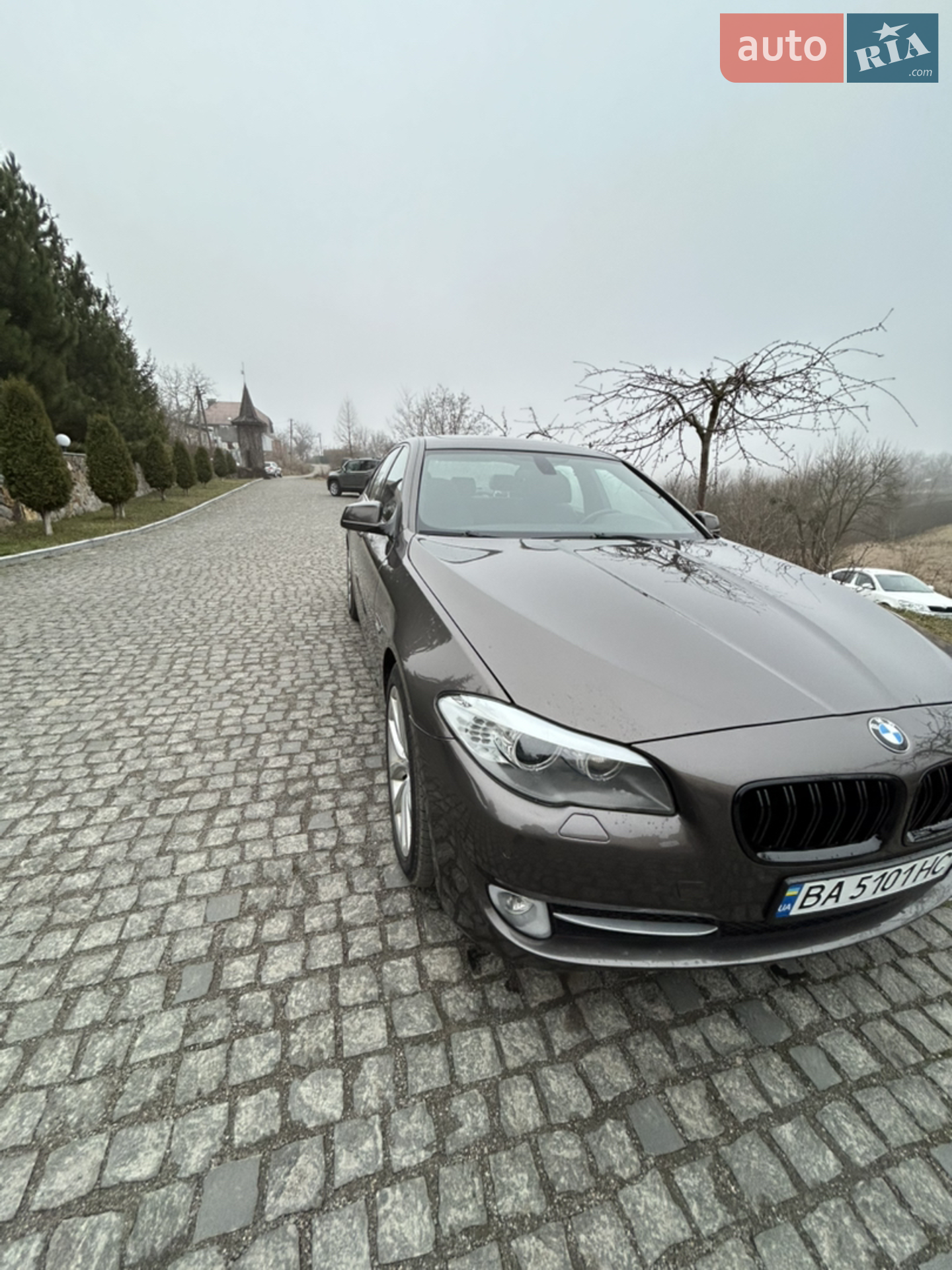 BMW 5 Series, 2010