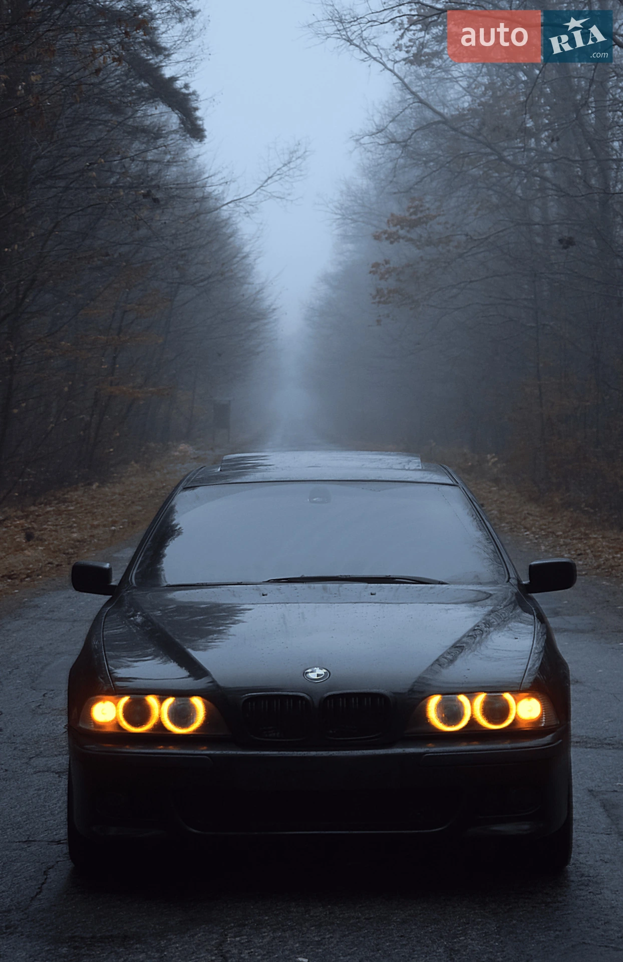 BMW 5 Series, 1999