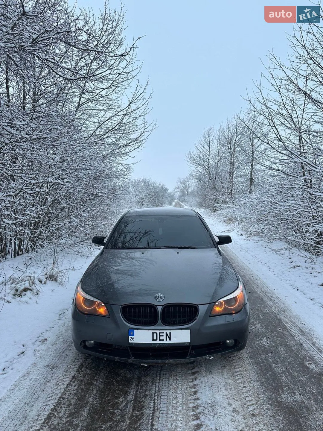 BMW 5 Series, 2005
