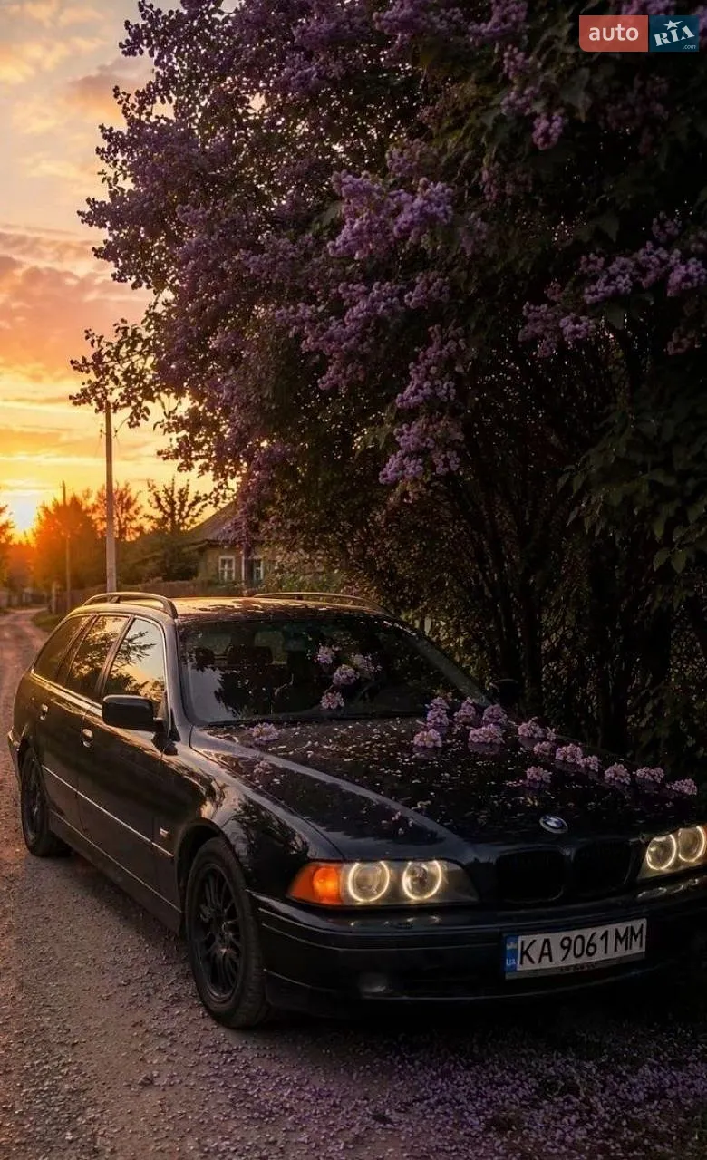 BMW 5 Series 2002 — 1