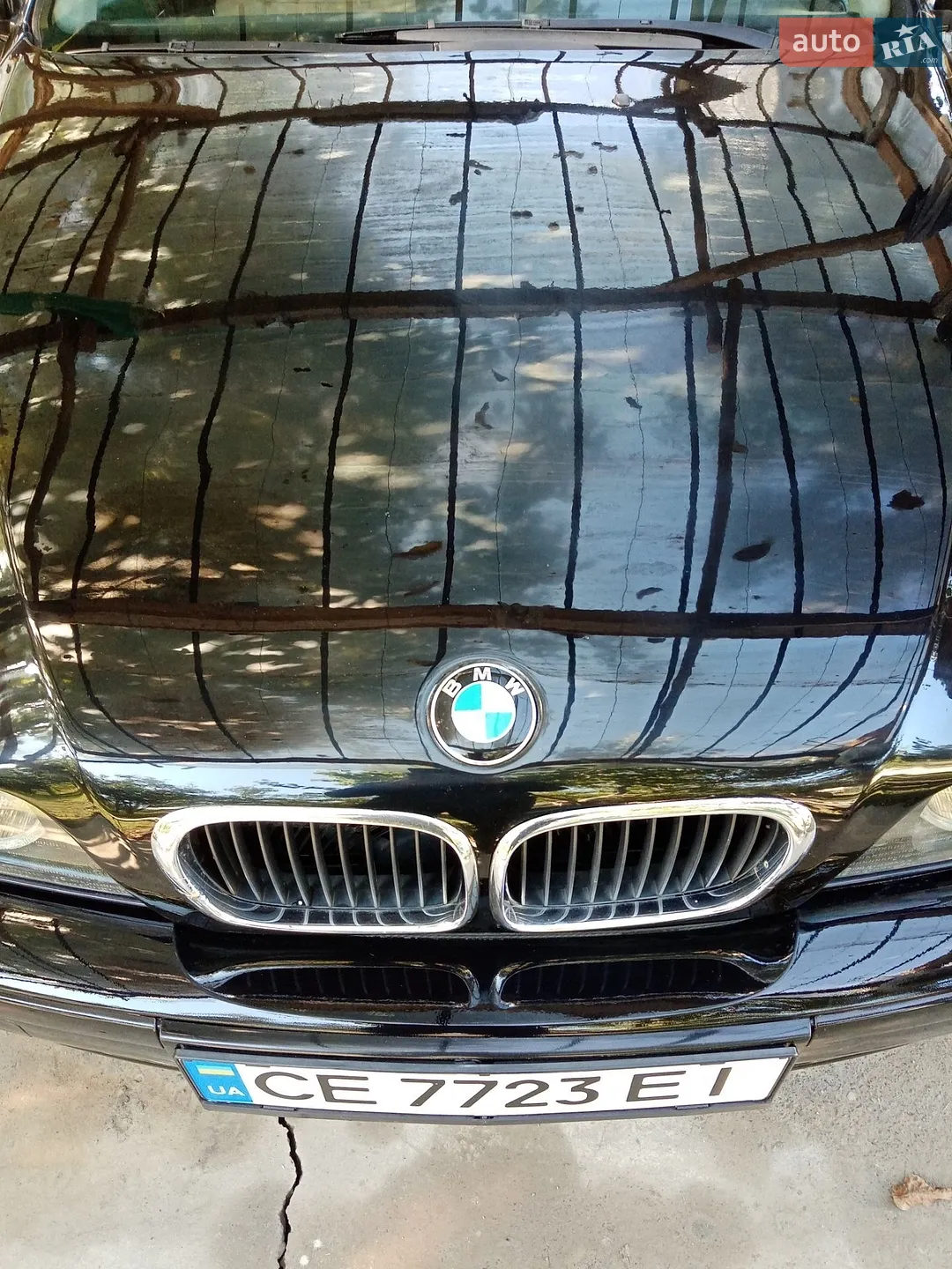 BMW 5 Series, 2001