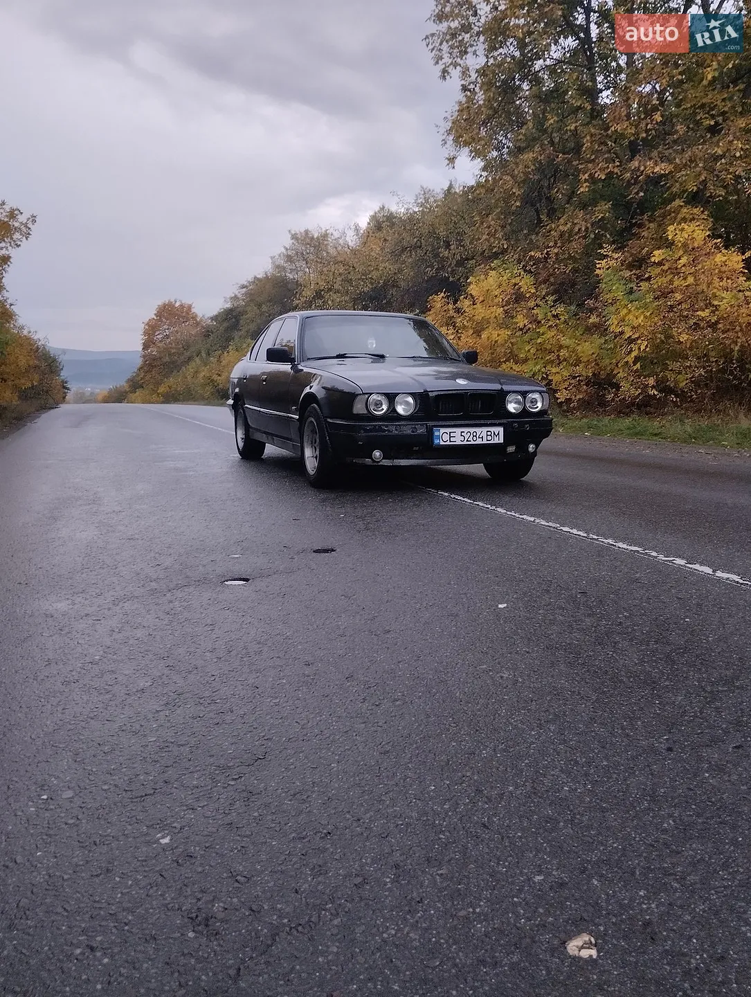 BMW 5 Series, 1994