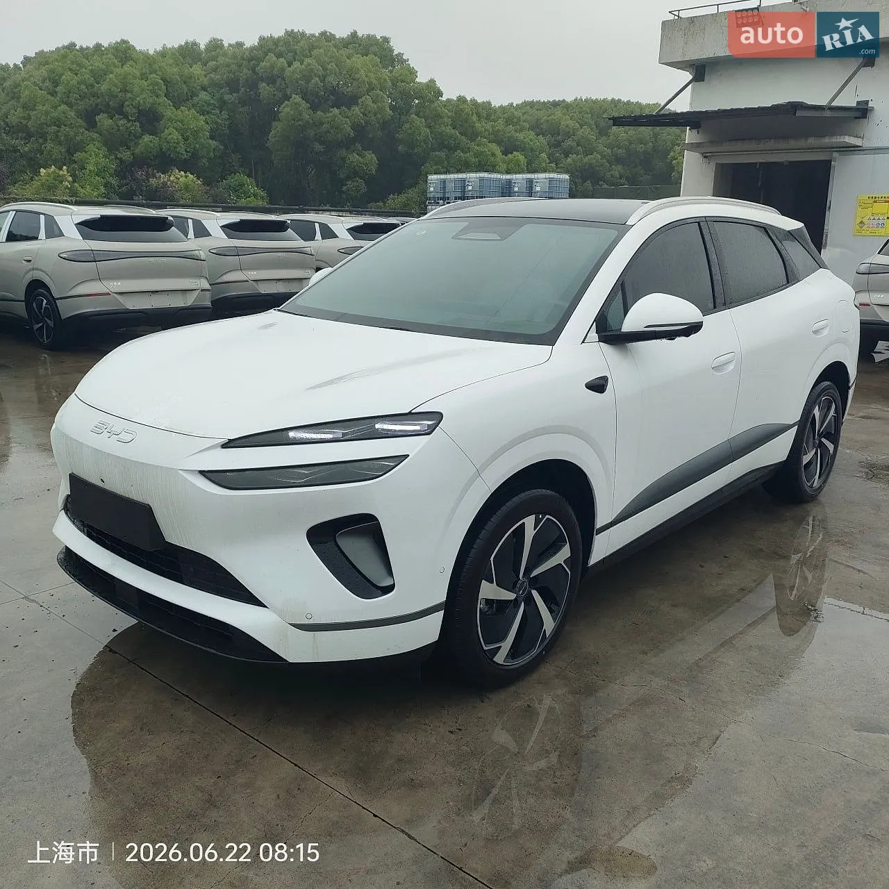 BYD Sea Lion 06, 2025