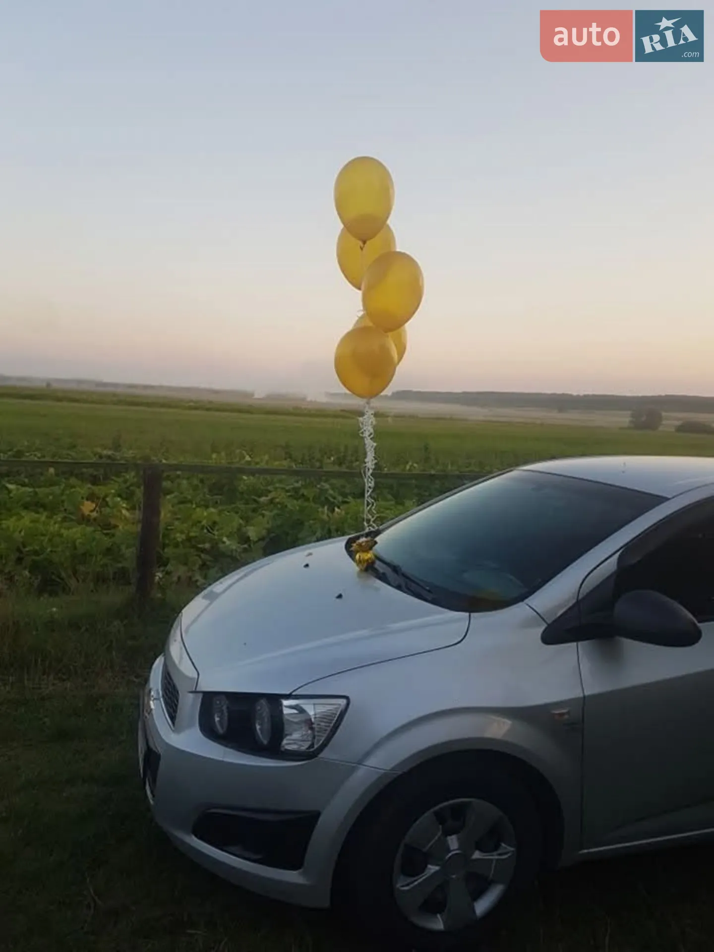 Chevrolet Aveo, 2012