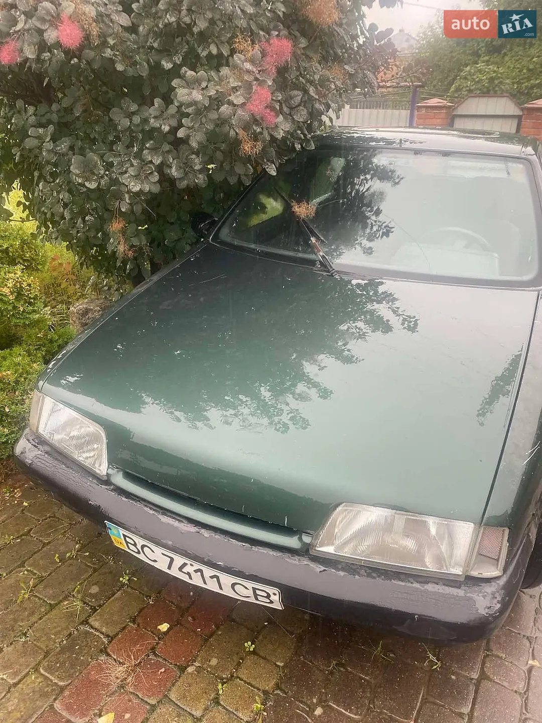 Citroën ZX, 1995