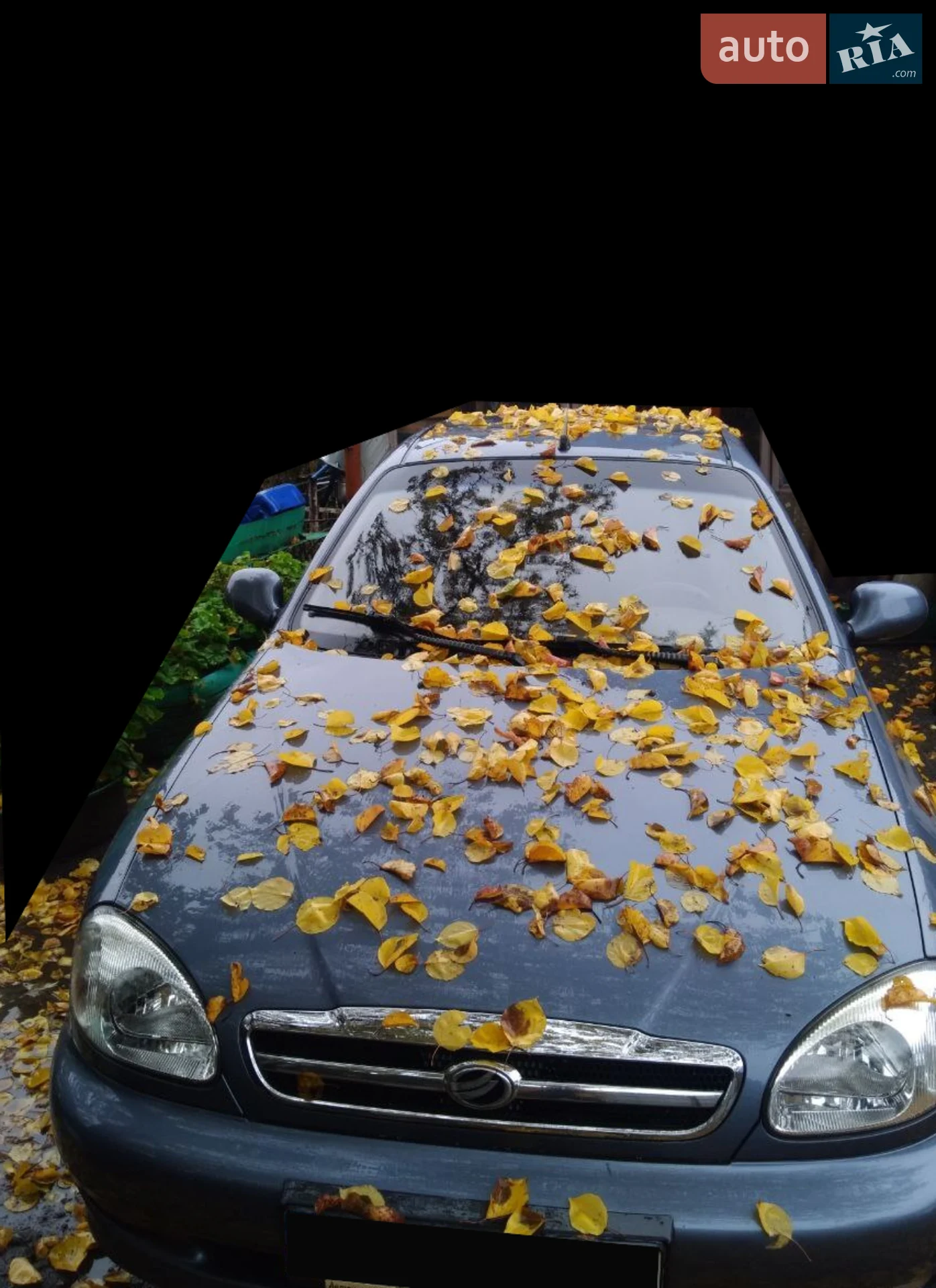Daewoo Lanos, 2010
