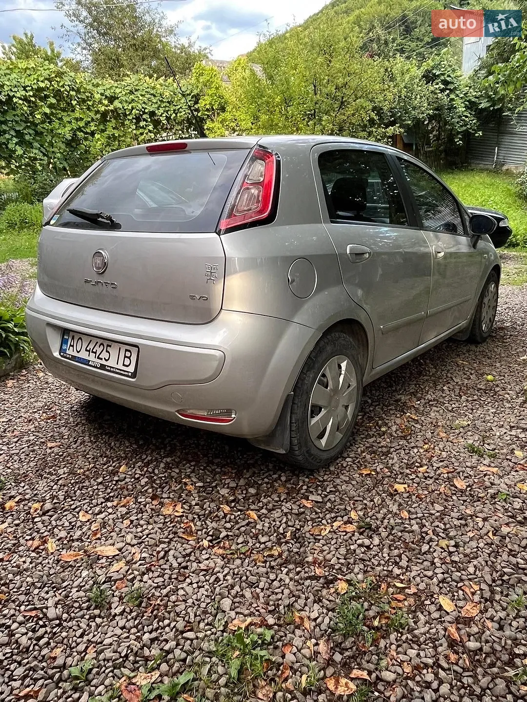 Fiat Punto, 2010