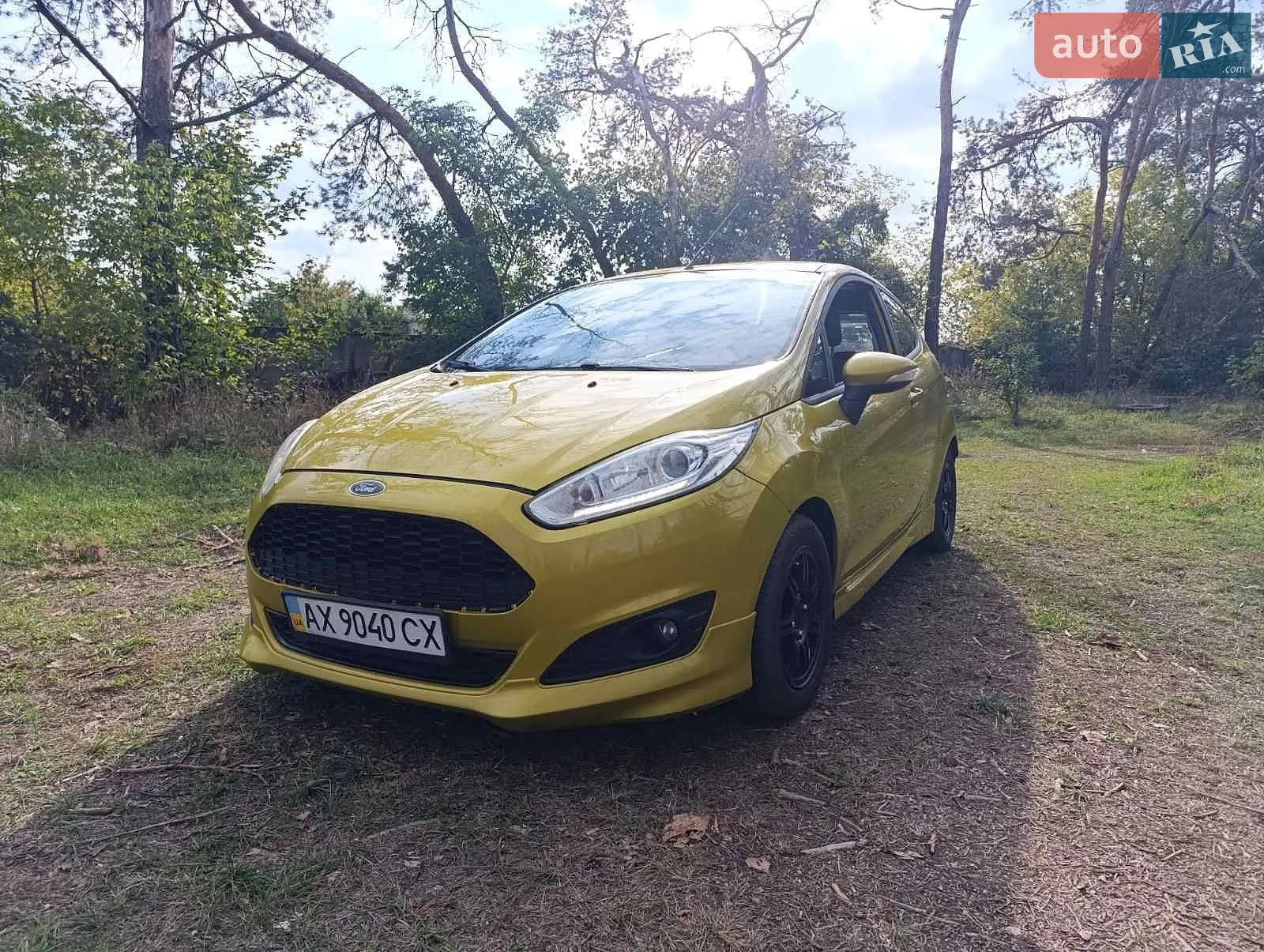 Ford Fiesta, 2013
