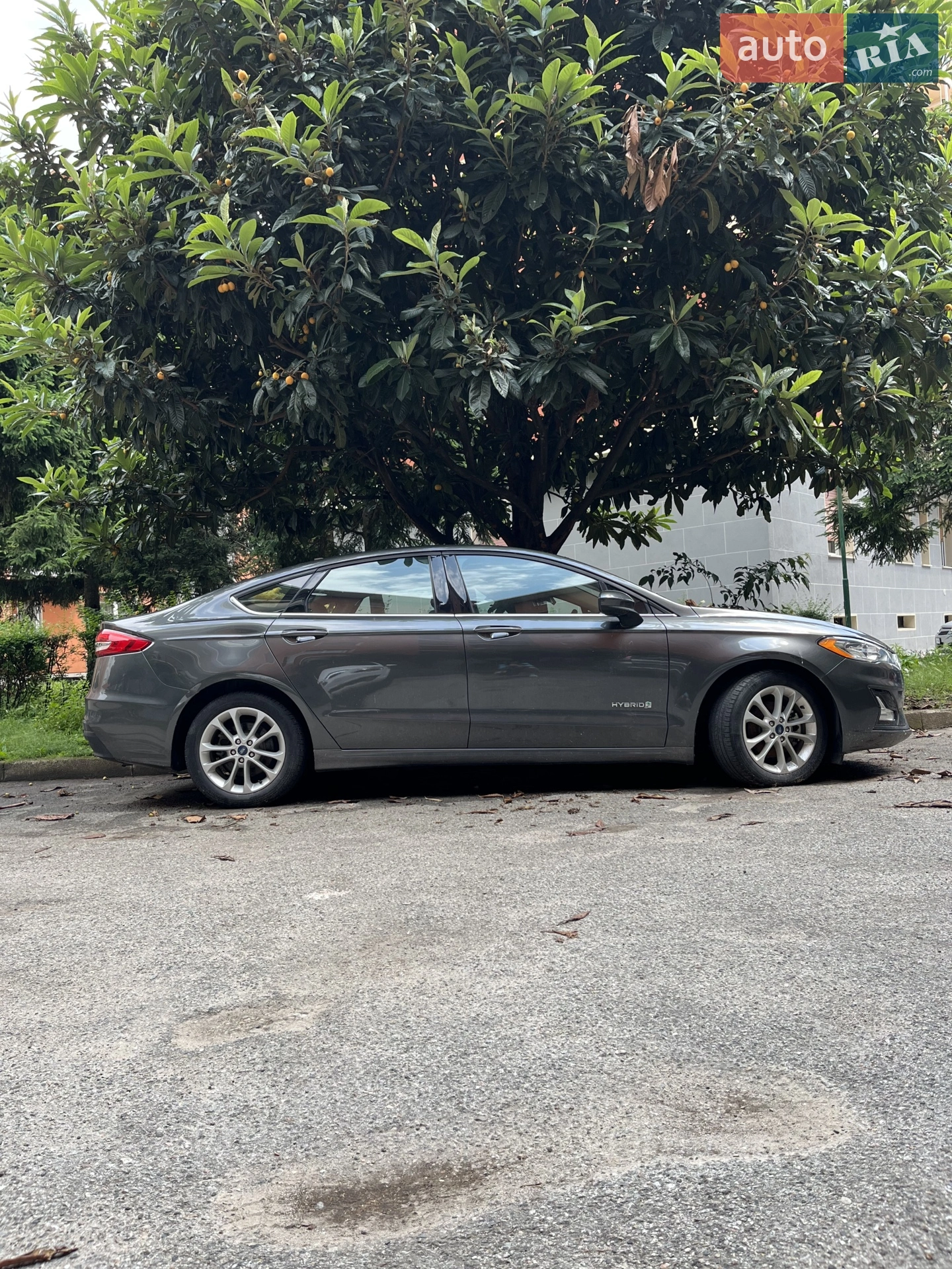 Ford Fusion, 2019