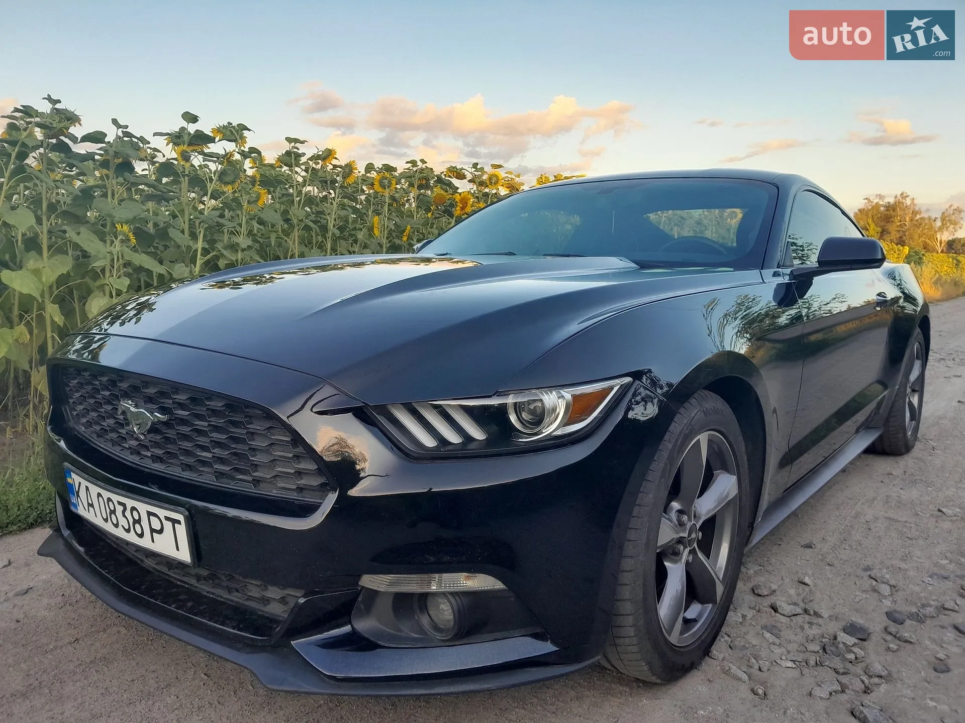 Ford Mustang, 2016