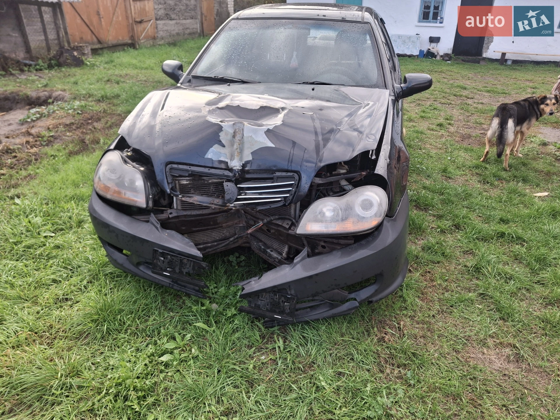 Geely MR, 2008