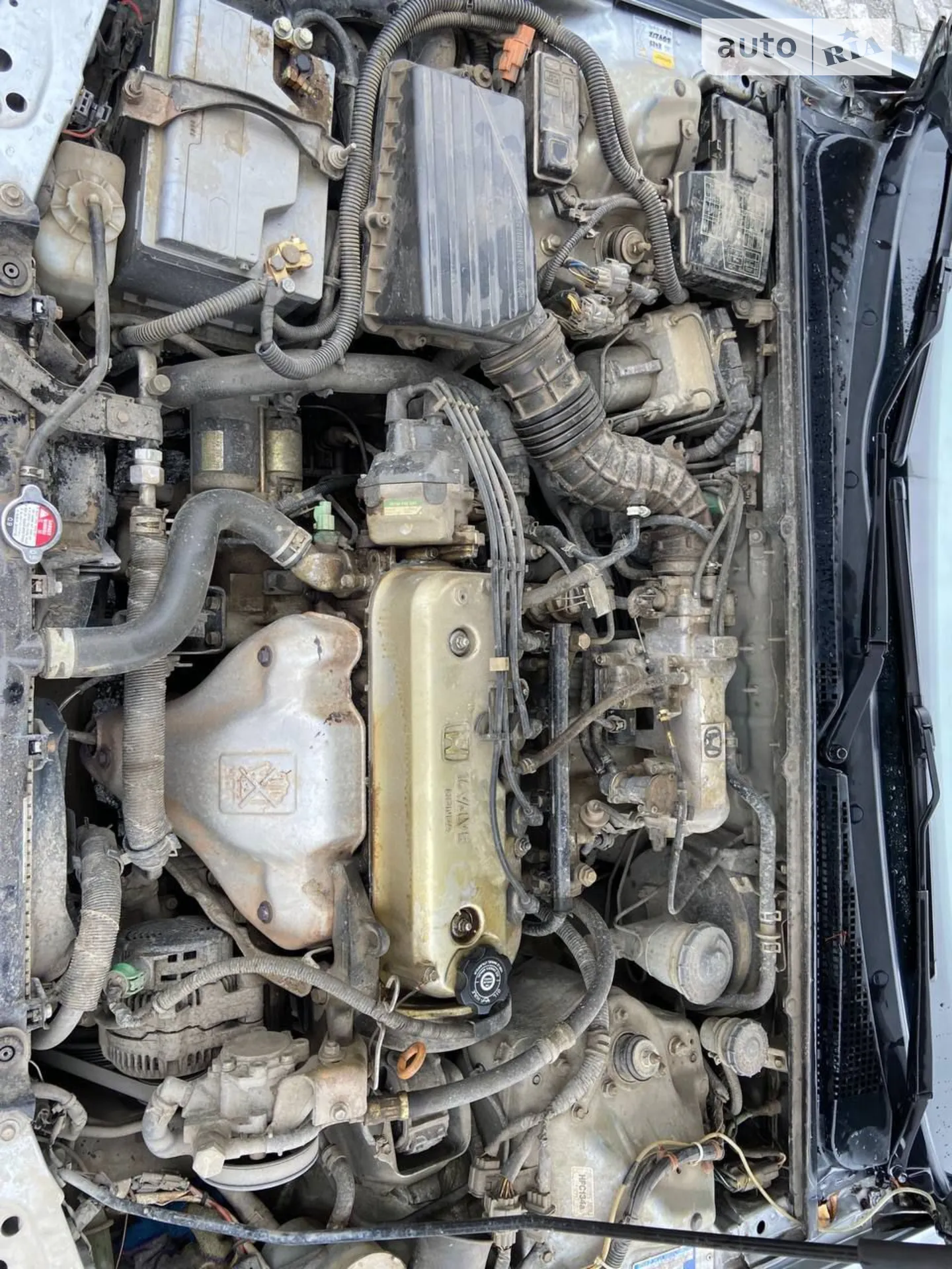 Honda Accord, 1996