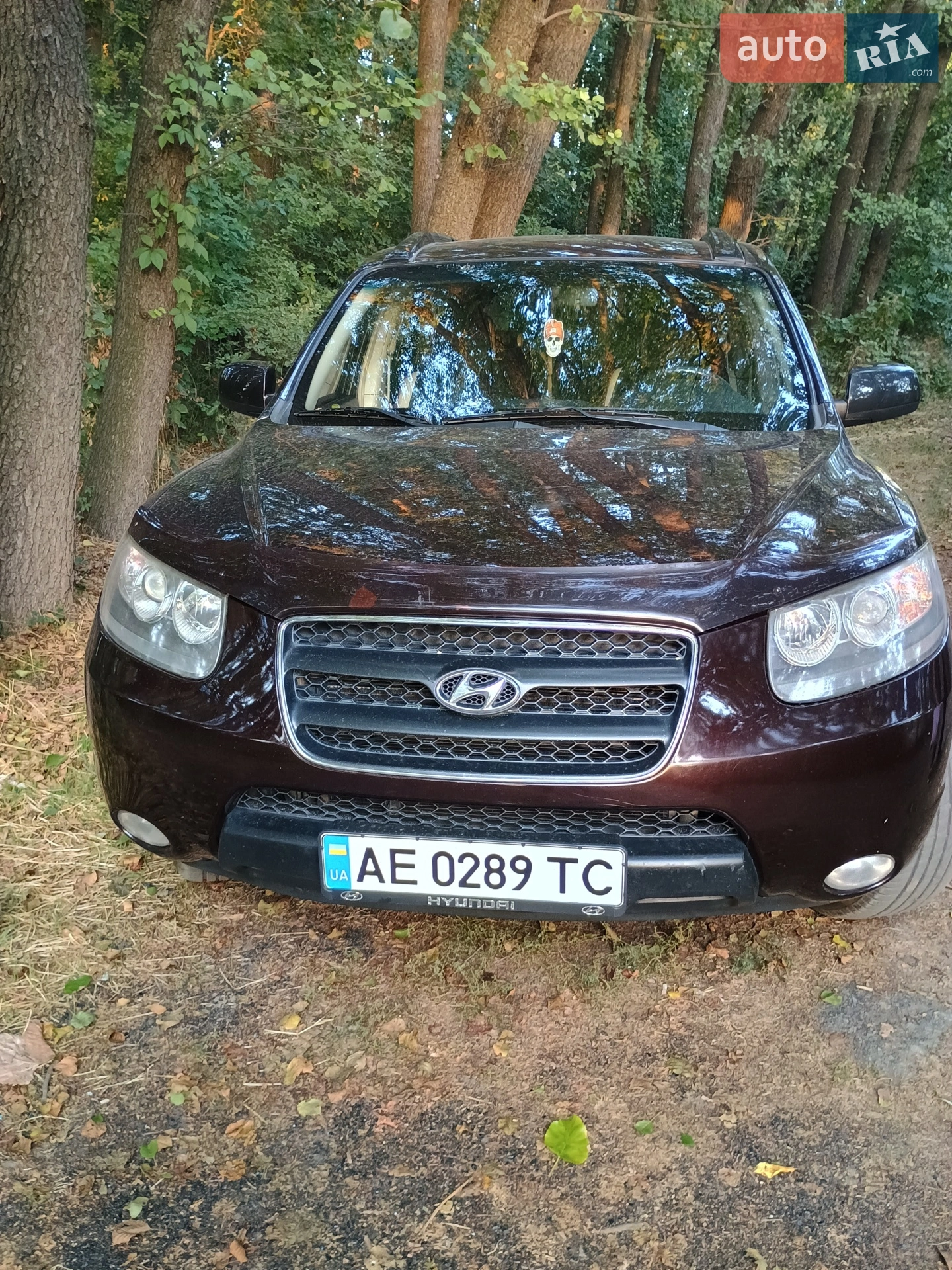 Hyundai Santa FE, 2008
