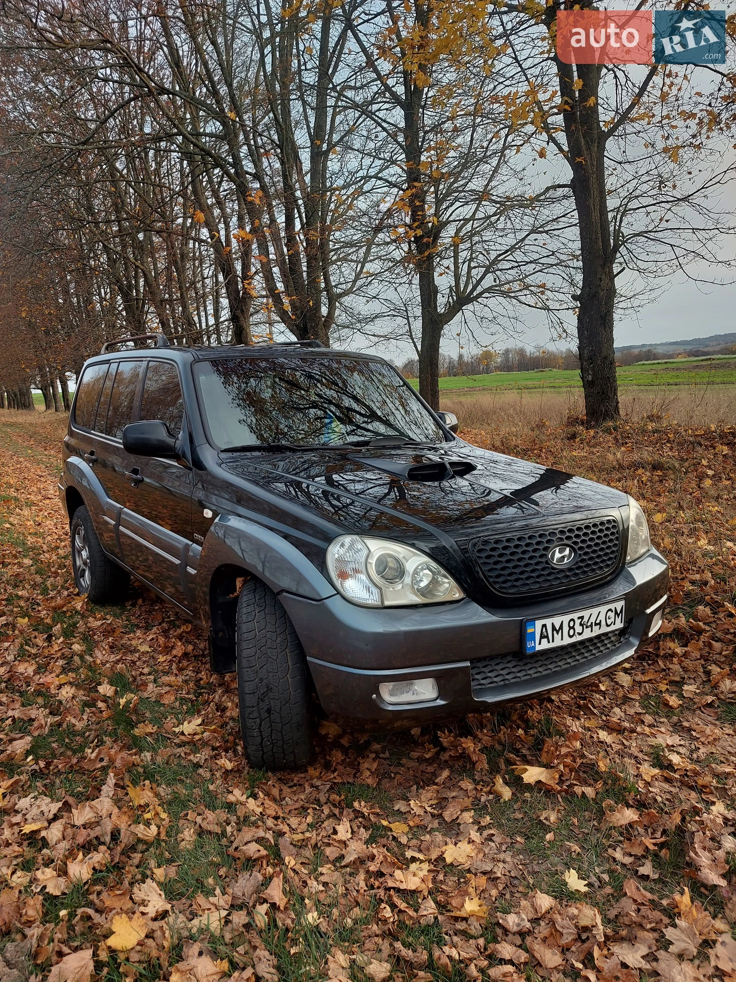 Hyundai Terracan, 2006