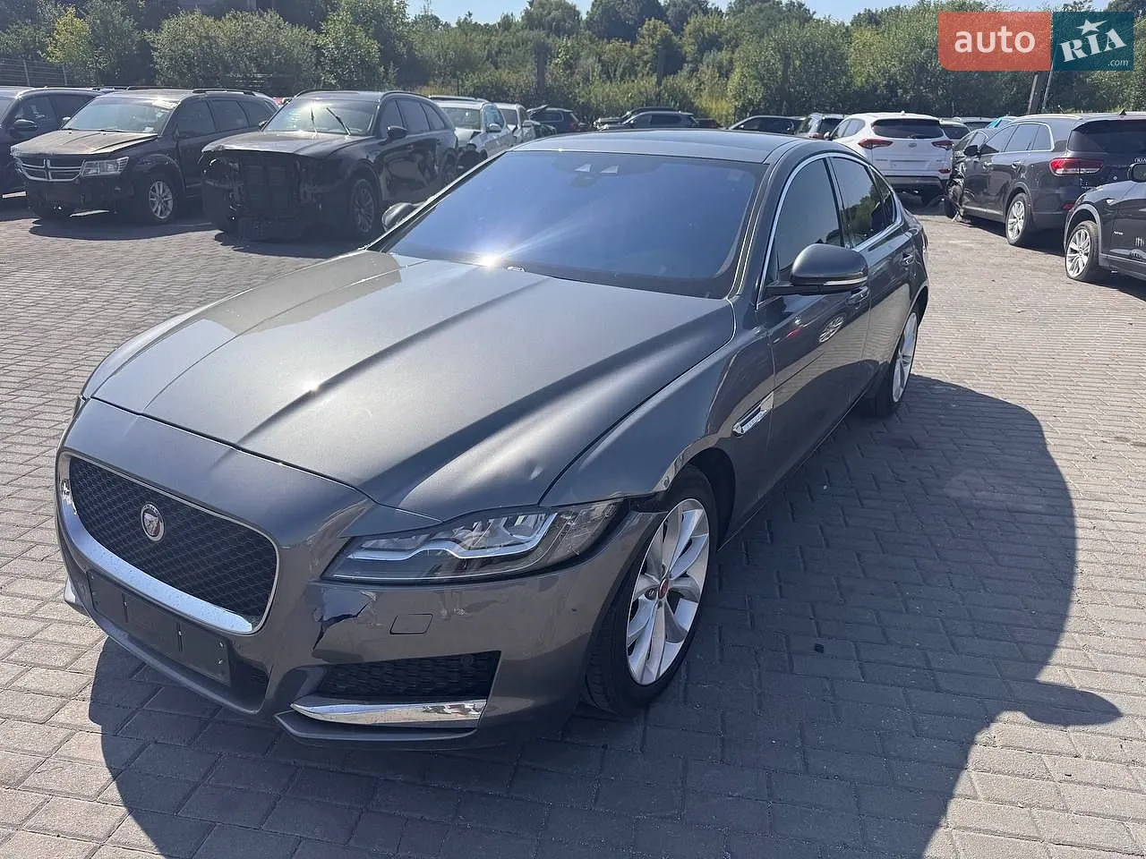 Jaguar XF, 2019