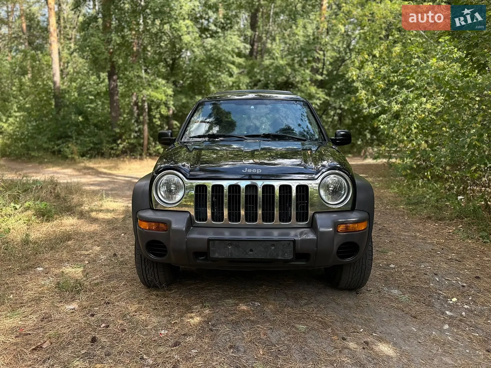 Jeep Cherokee, 2006