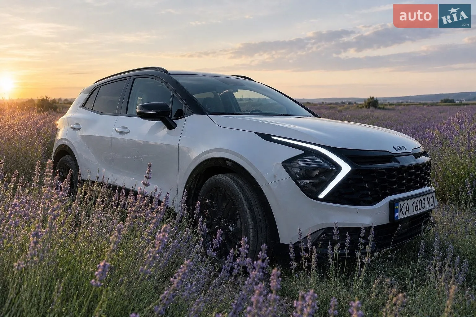Kia Sportage, 2024