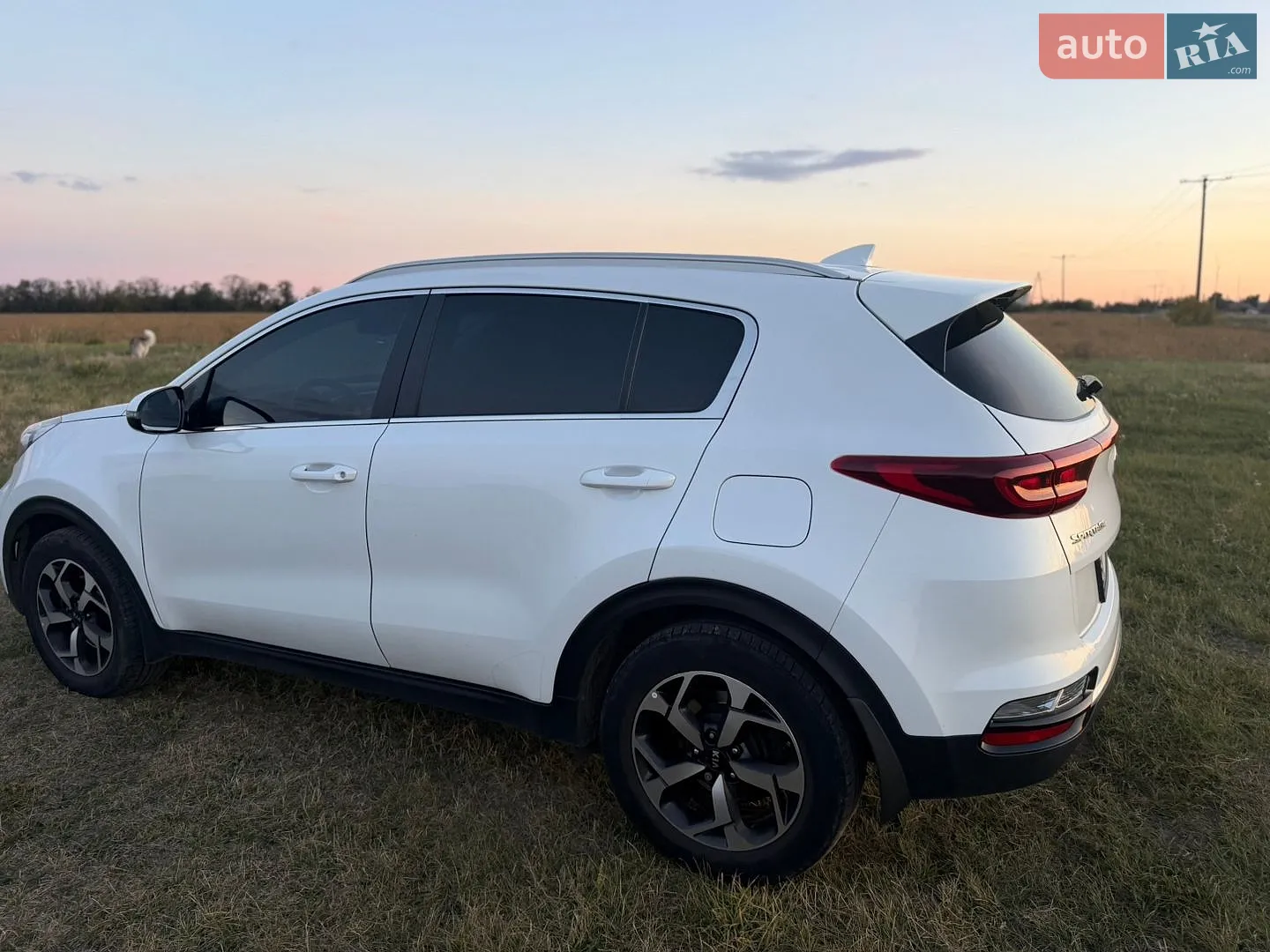 Kia Sportage, 2019