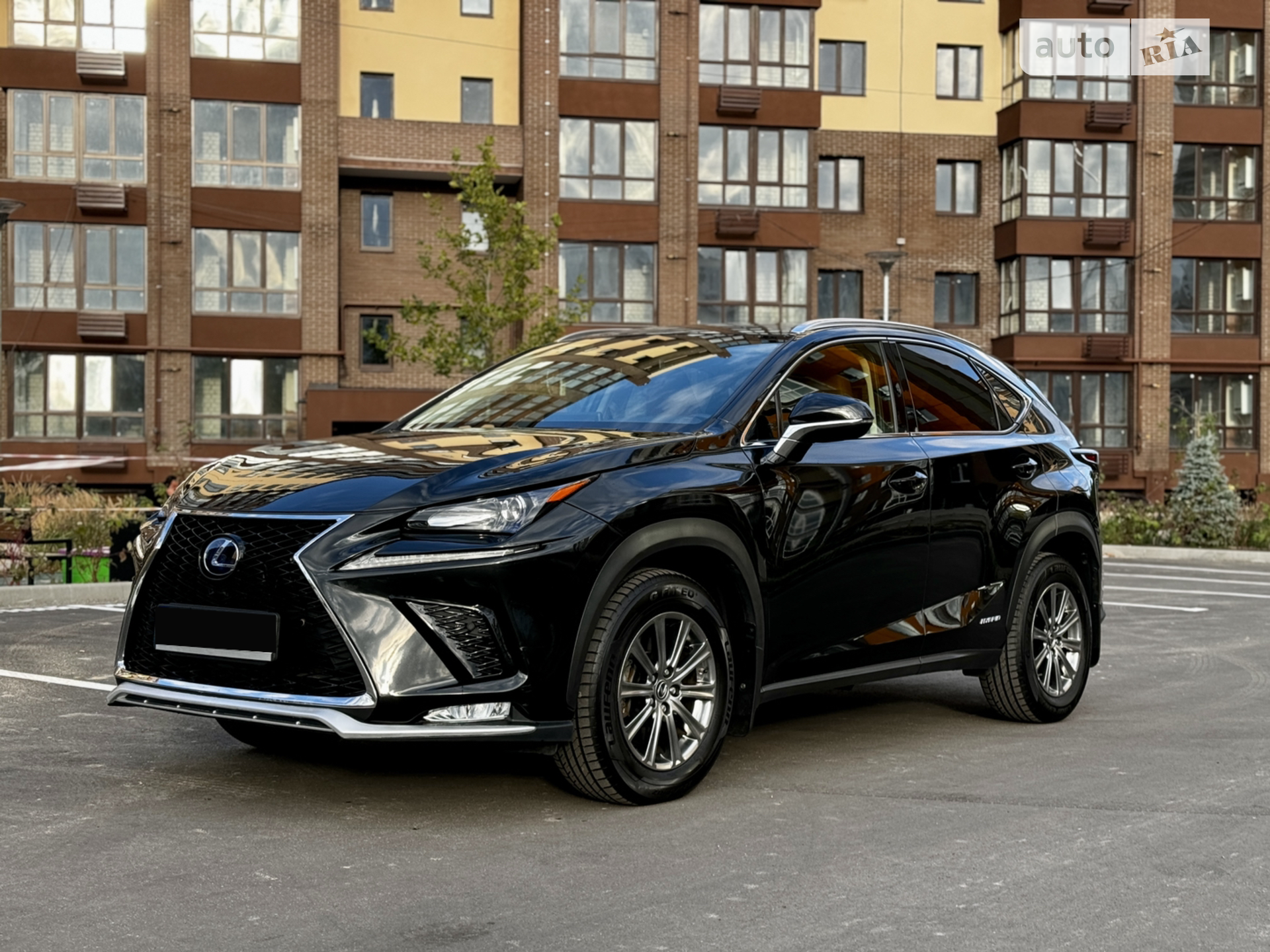 Lexus NX, 2019