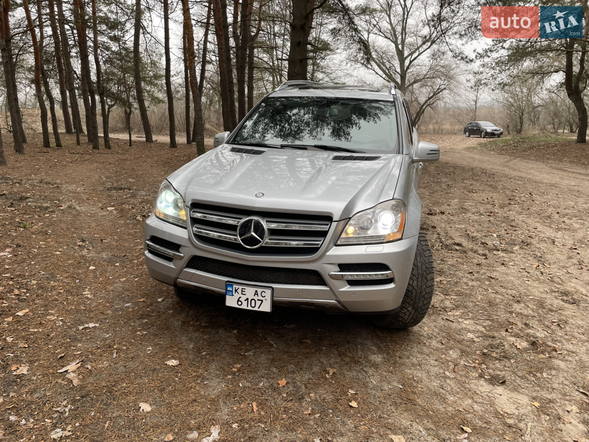 Mercedes-Benz GL-Class, 2010