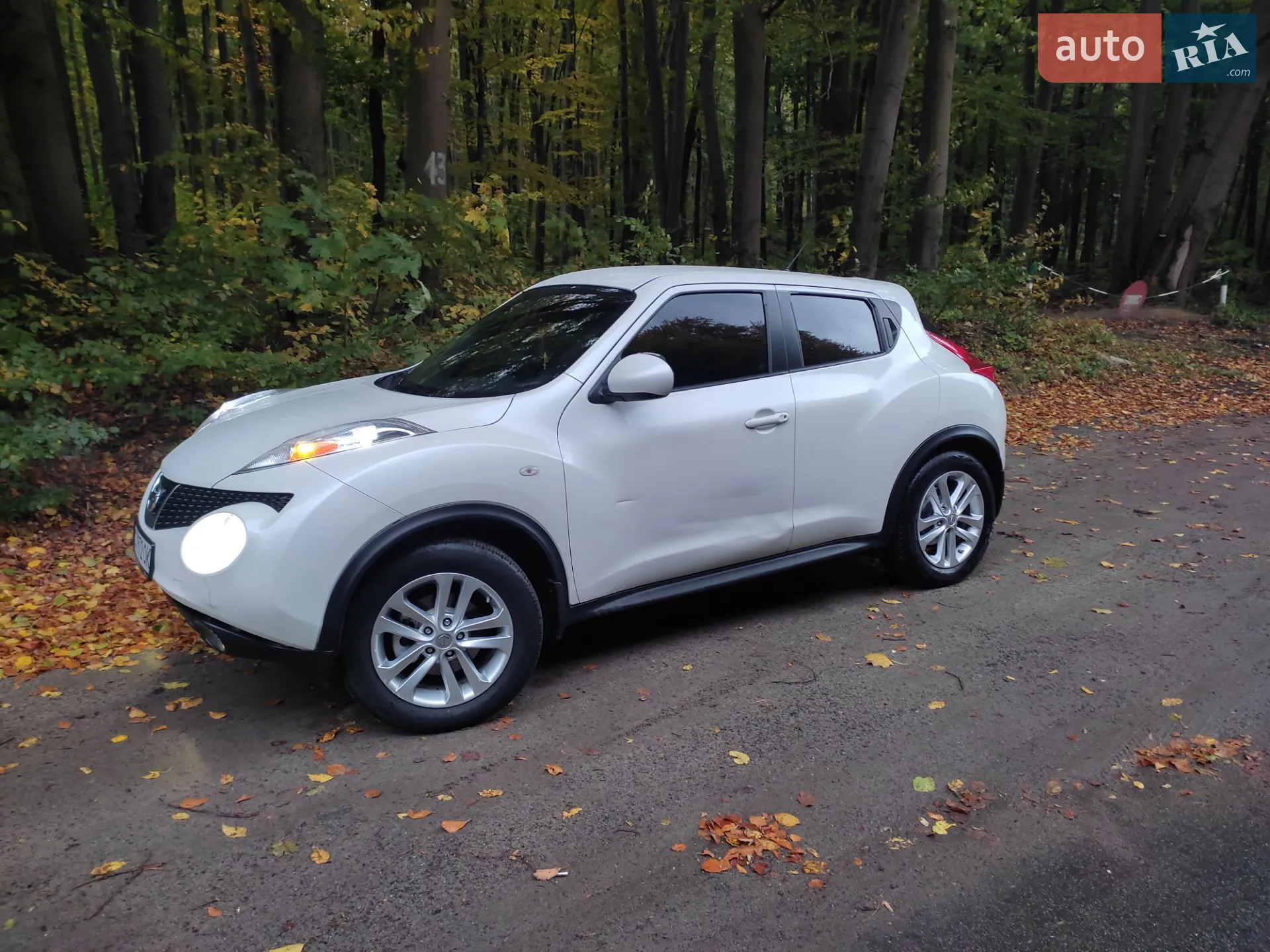 Nissan Juke, 2013