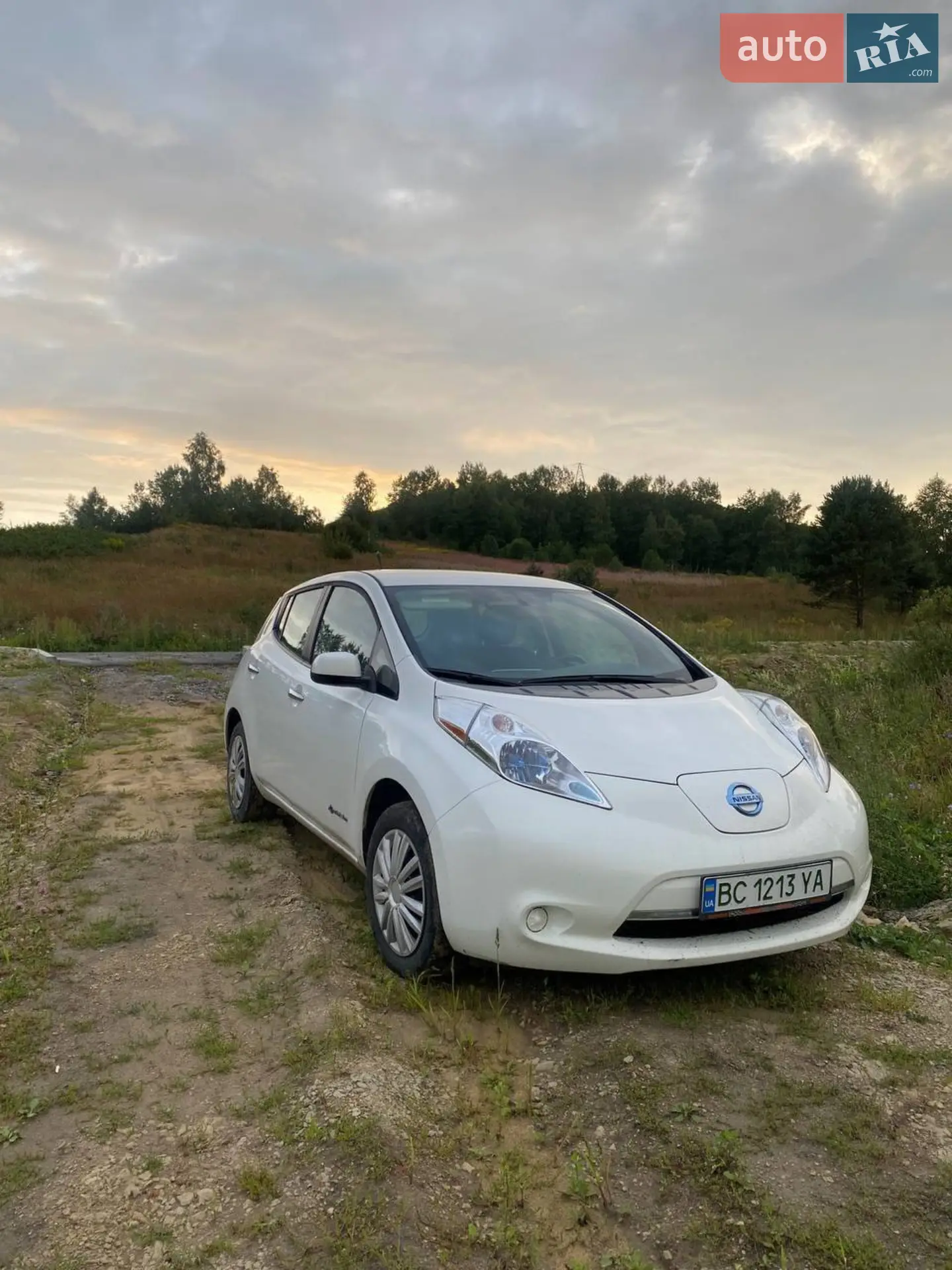 Nissan Leaf, 2013