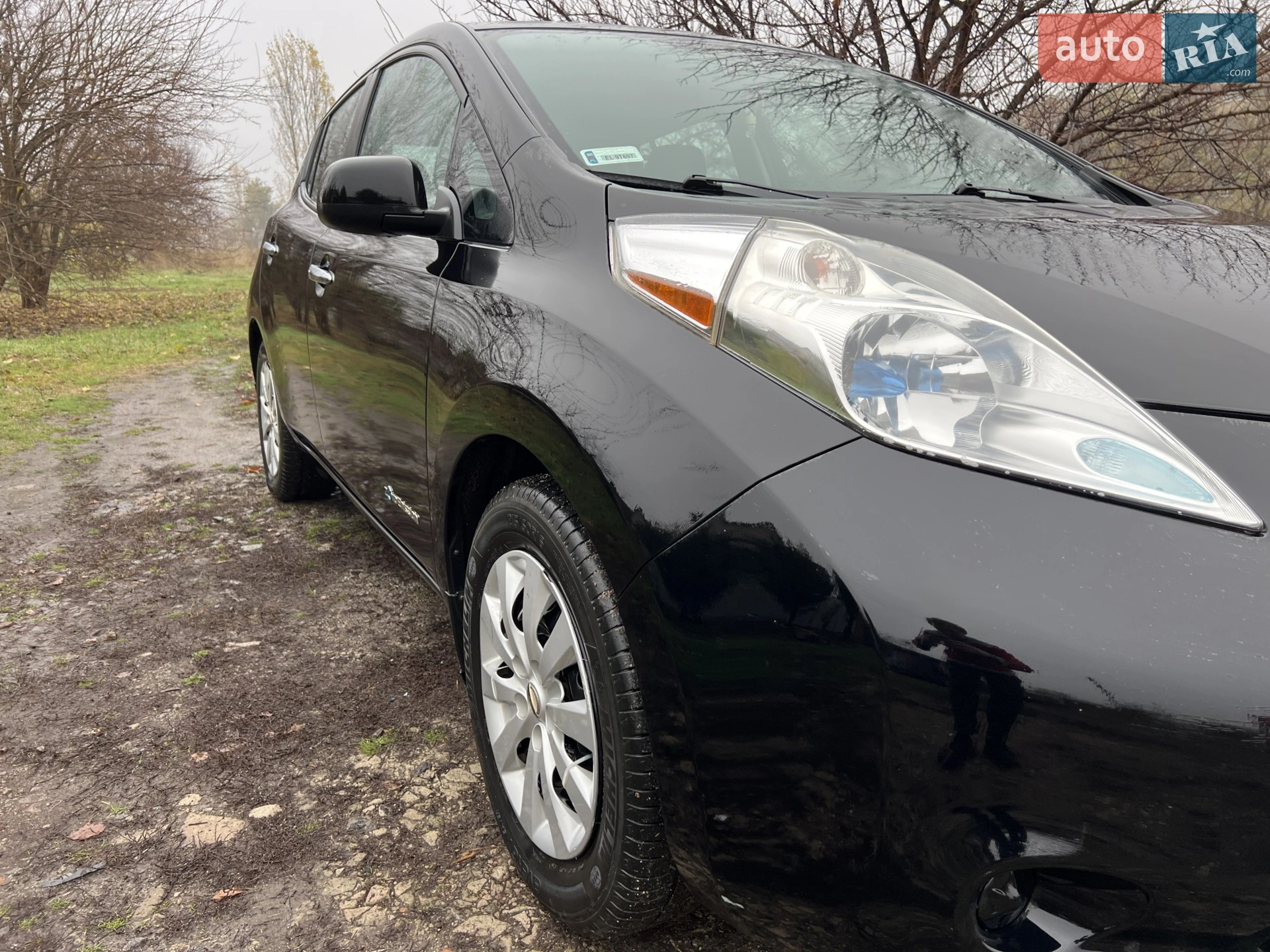 Nissan Leaf, 2013