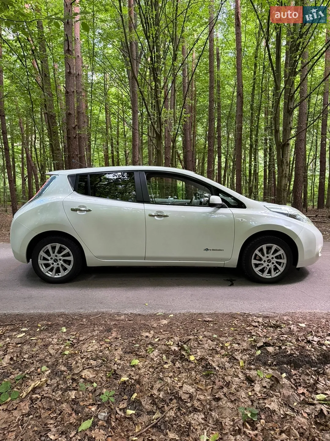 Nissan Leaf, 2010