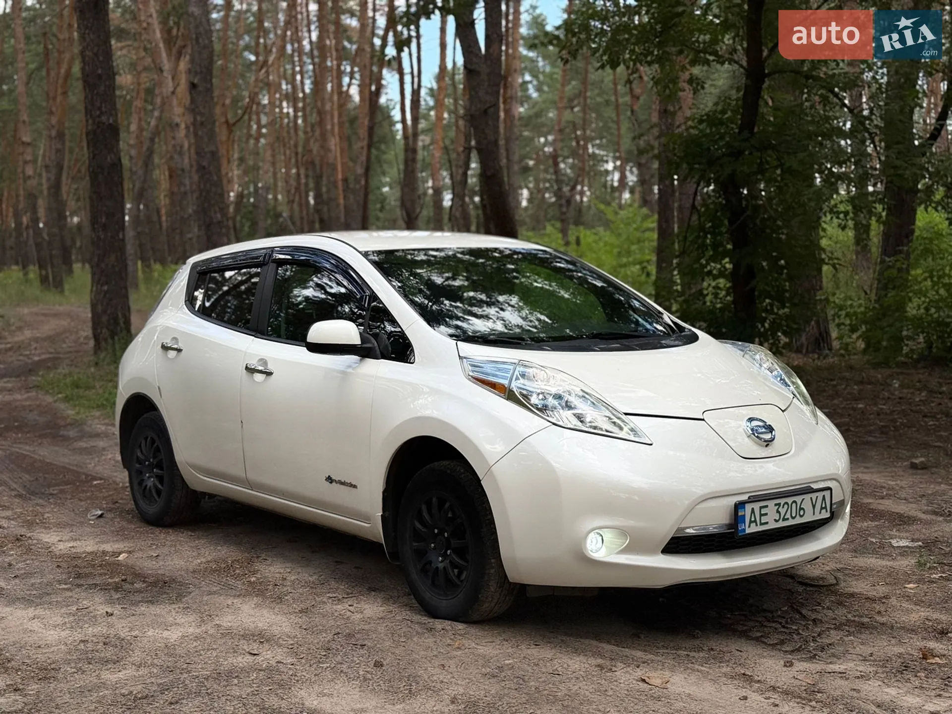 Nissan Leaf, 2013