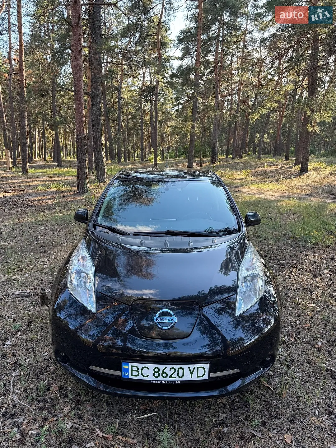 Nissan Leaf, 2015